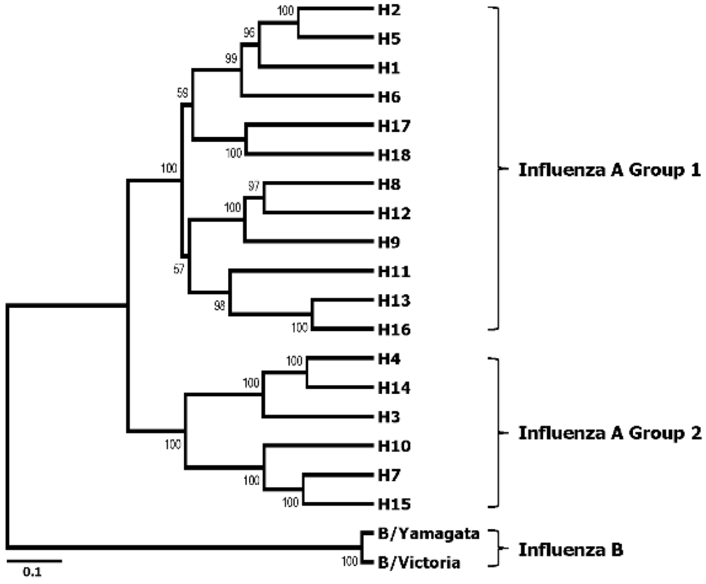 Viruses 06 03159 g001 1024