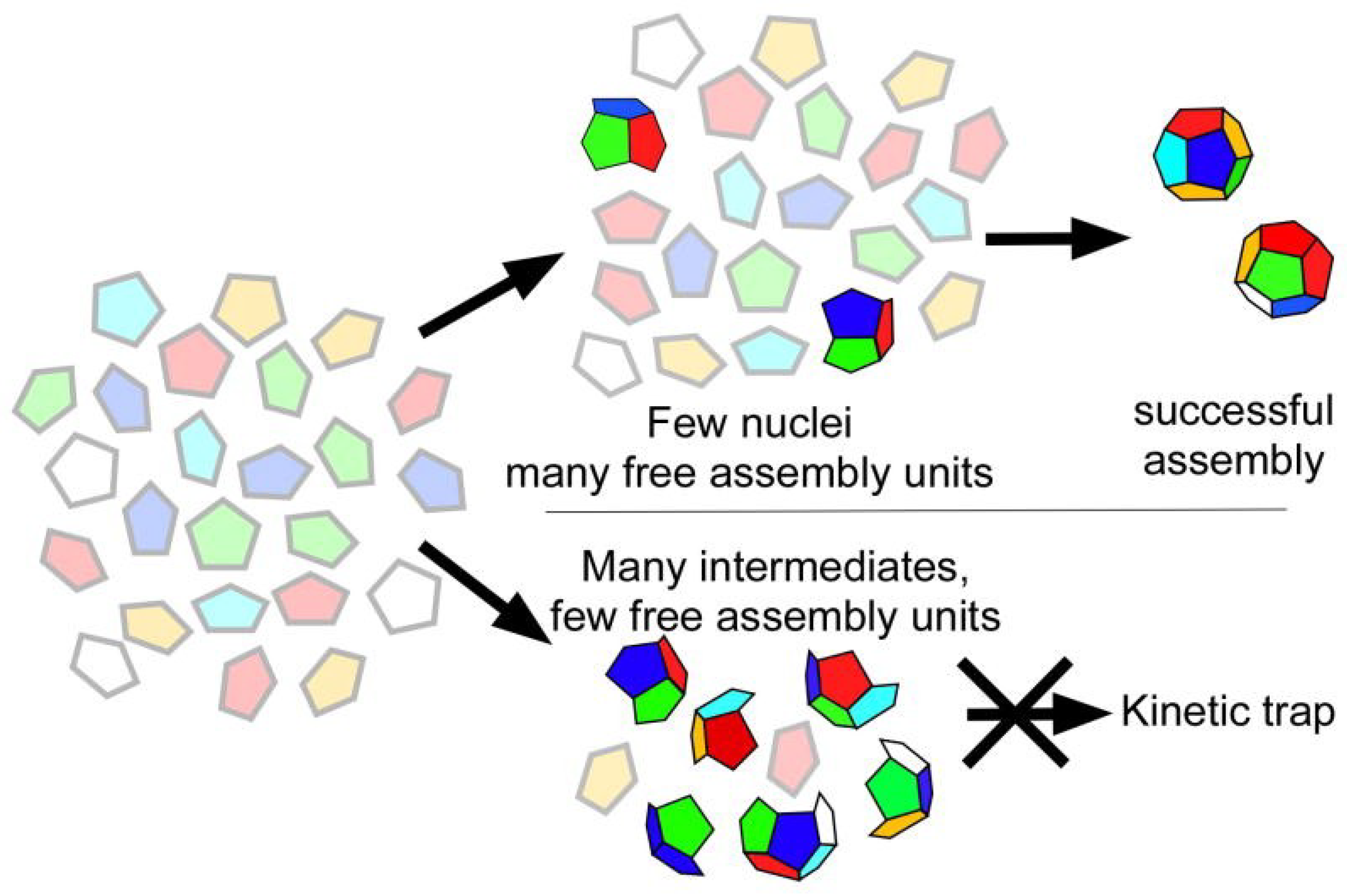 Viruses 06 03348 g002 1024