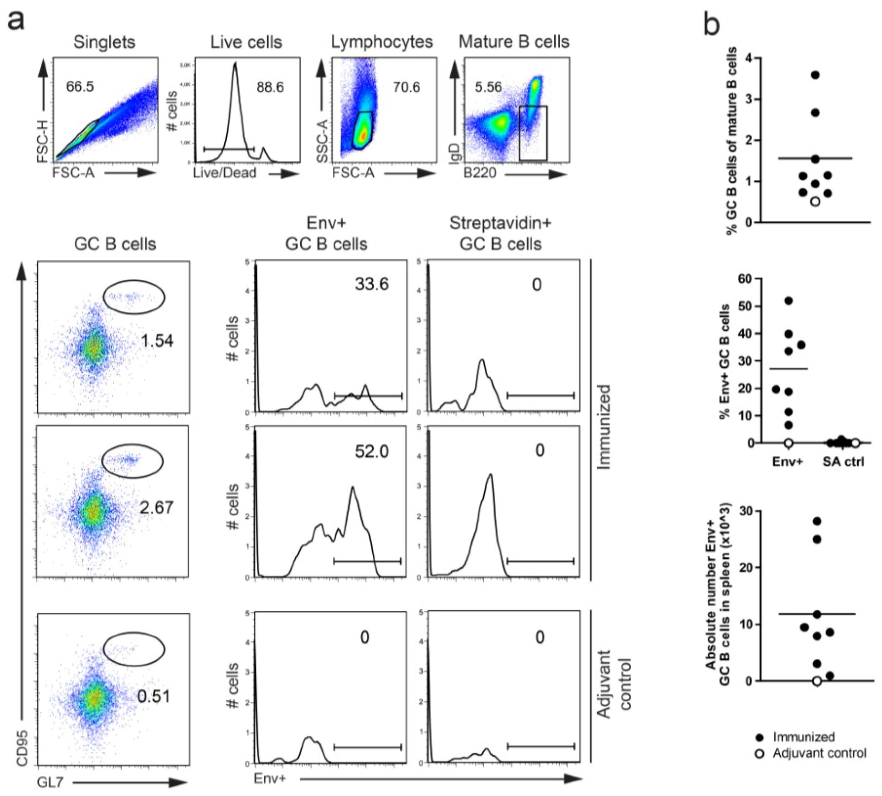 Viruses 06 03400 g003