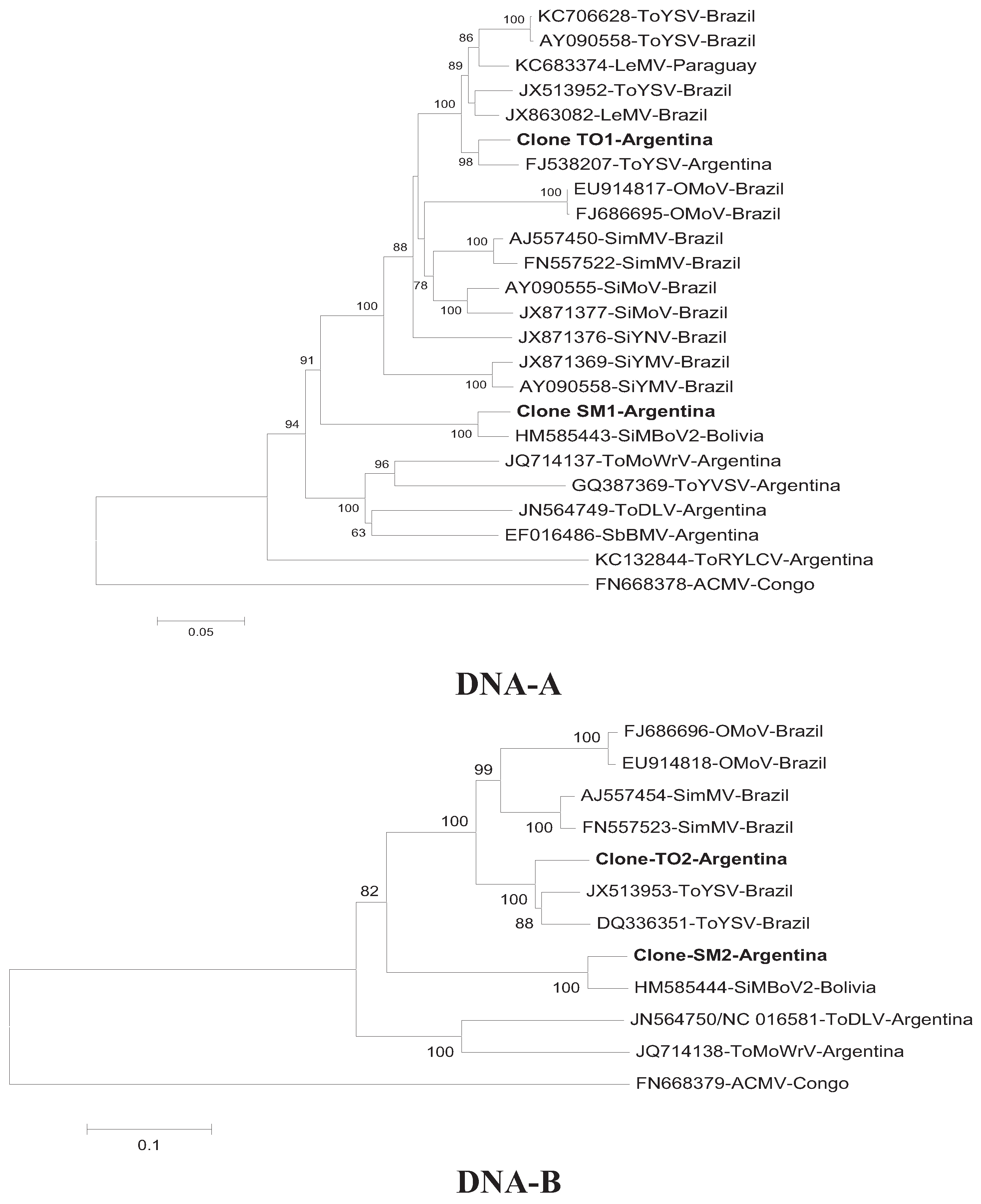 Viruses 06 03450 g002 1024