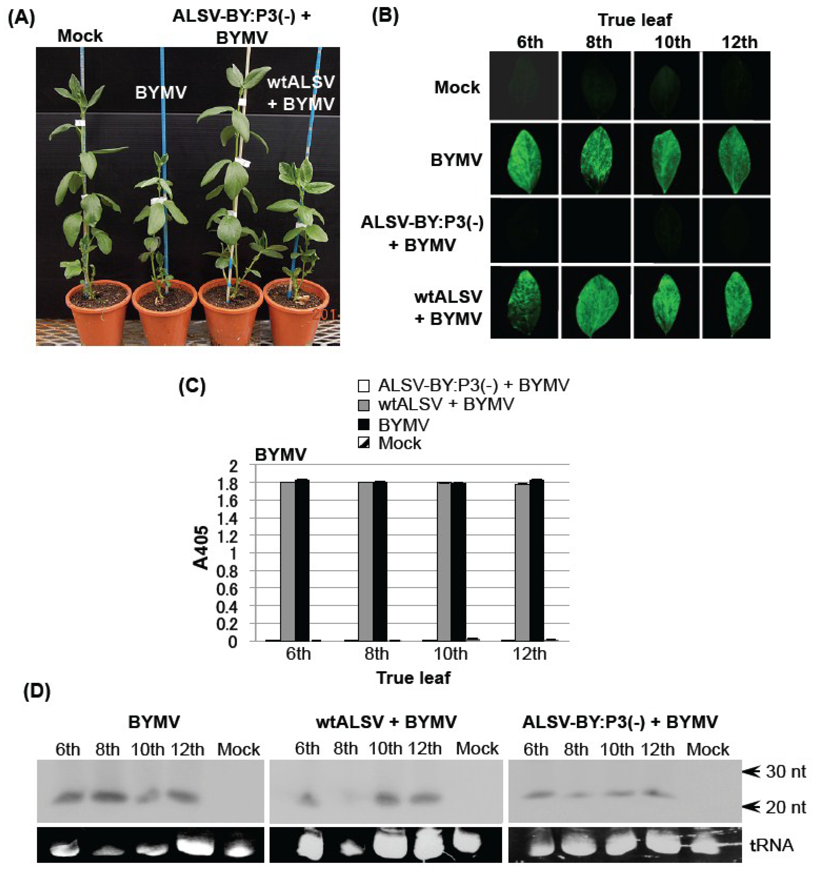Viruses 06 04242 g003