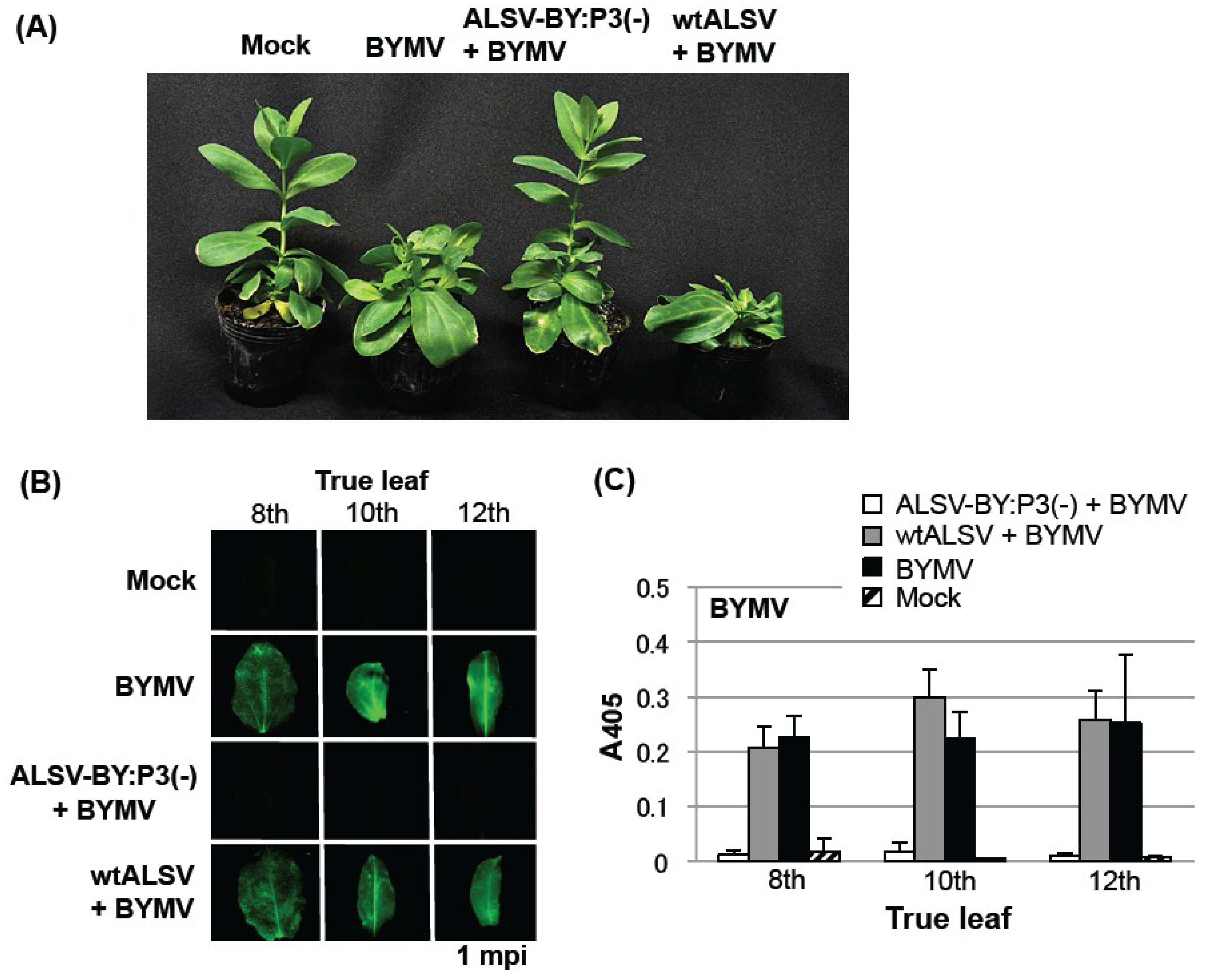 Viruses 06 04242 g004