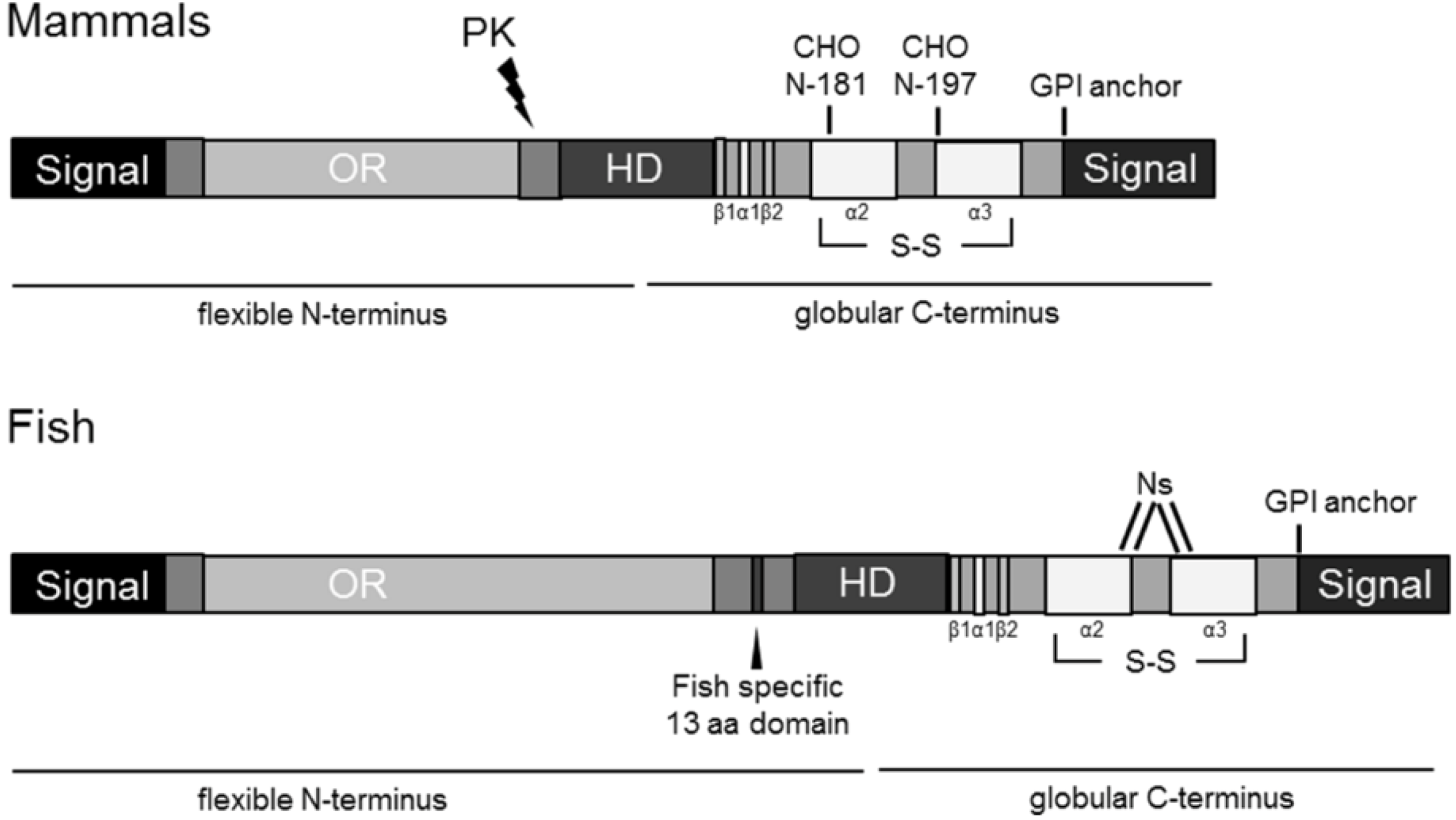 Viruses 06 04398 g001 1024