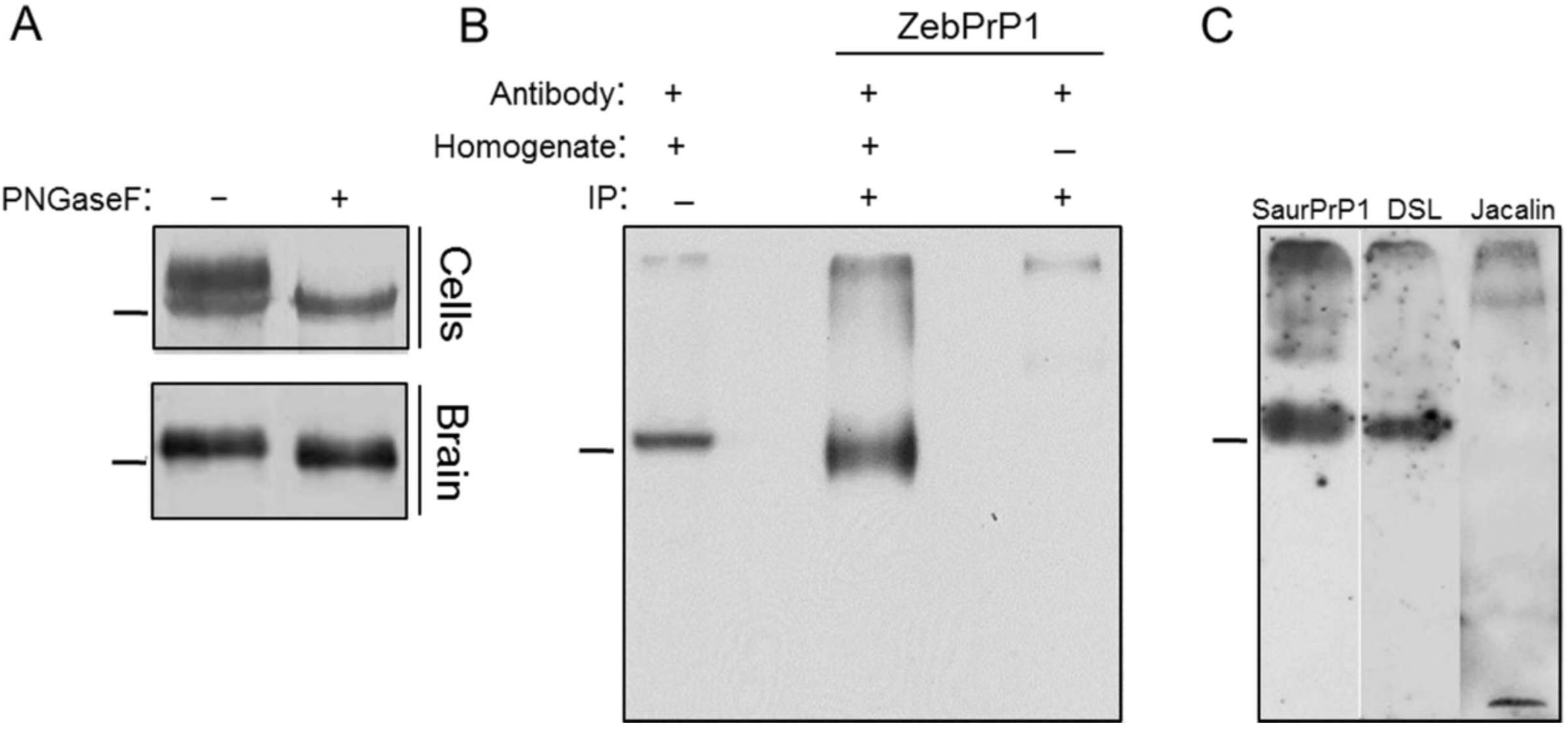 Viruses 06 04398 g004 1024
