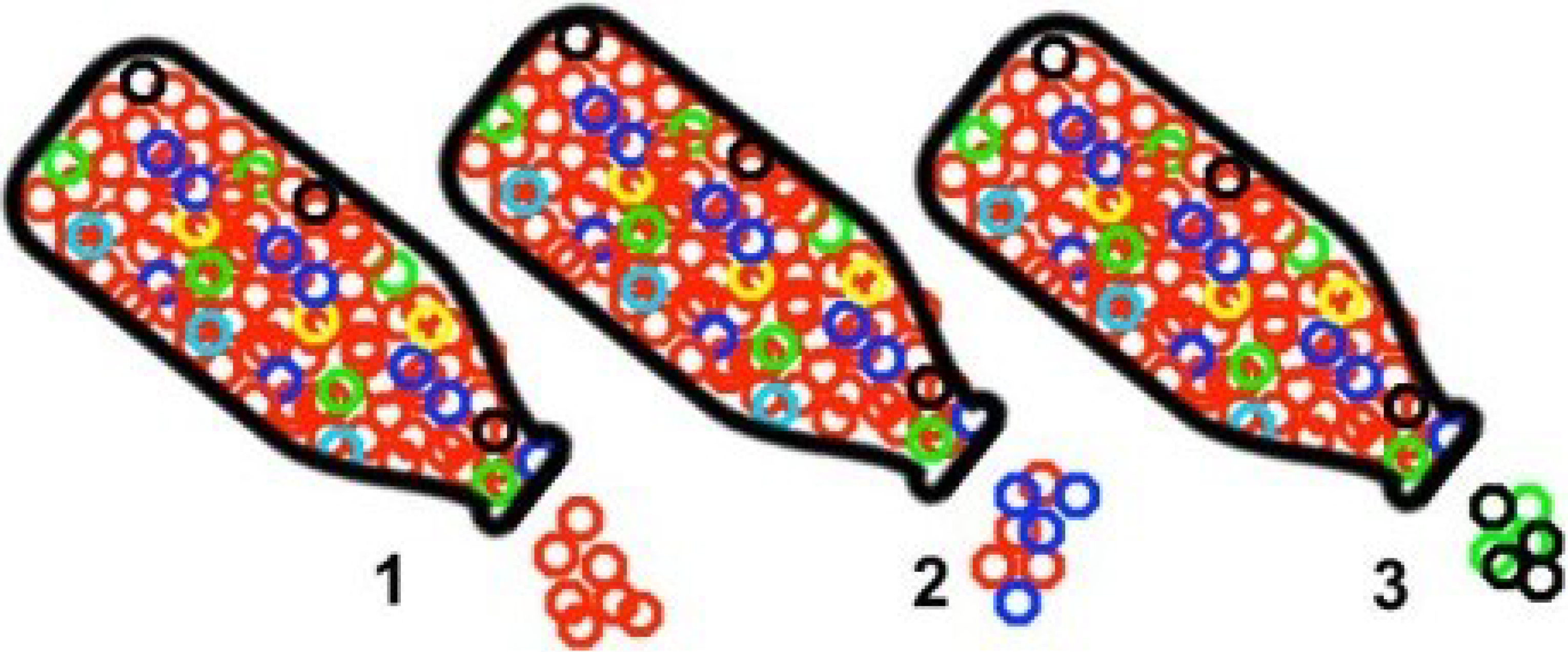 Viruses 06 04422 g001