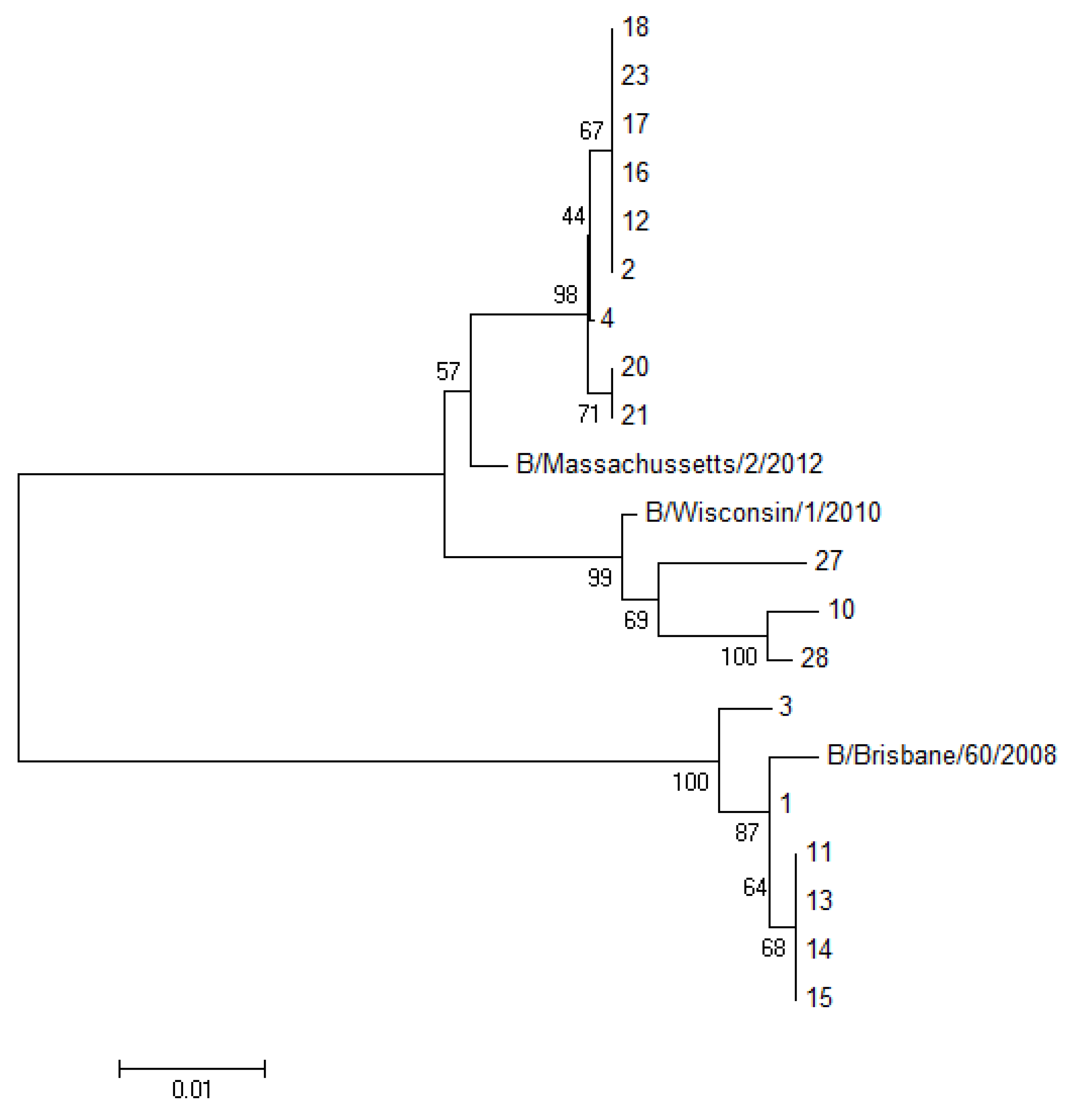 Viruses 06 04437 g002 1024