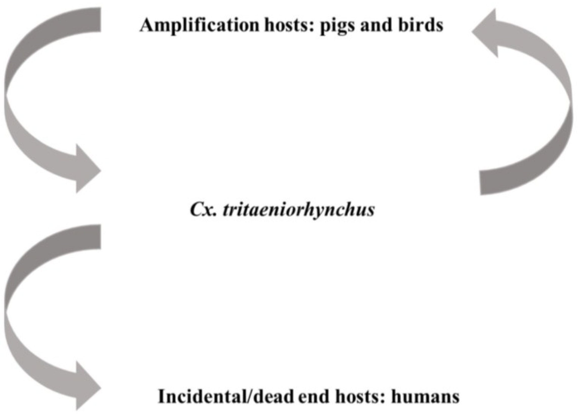 Viruses 06 04703 g002
