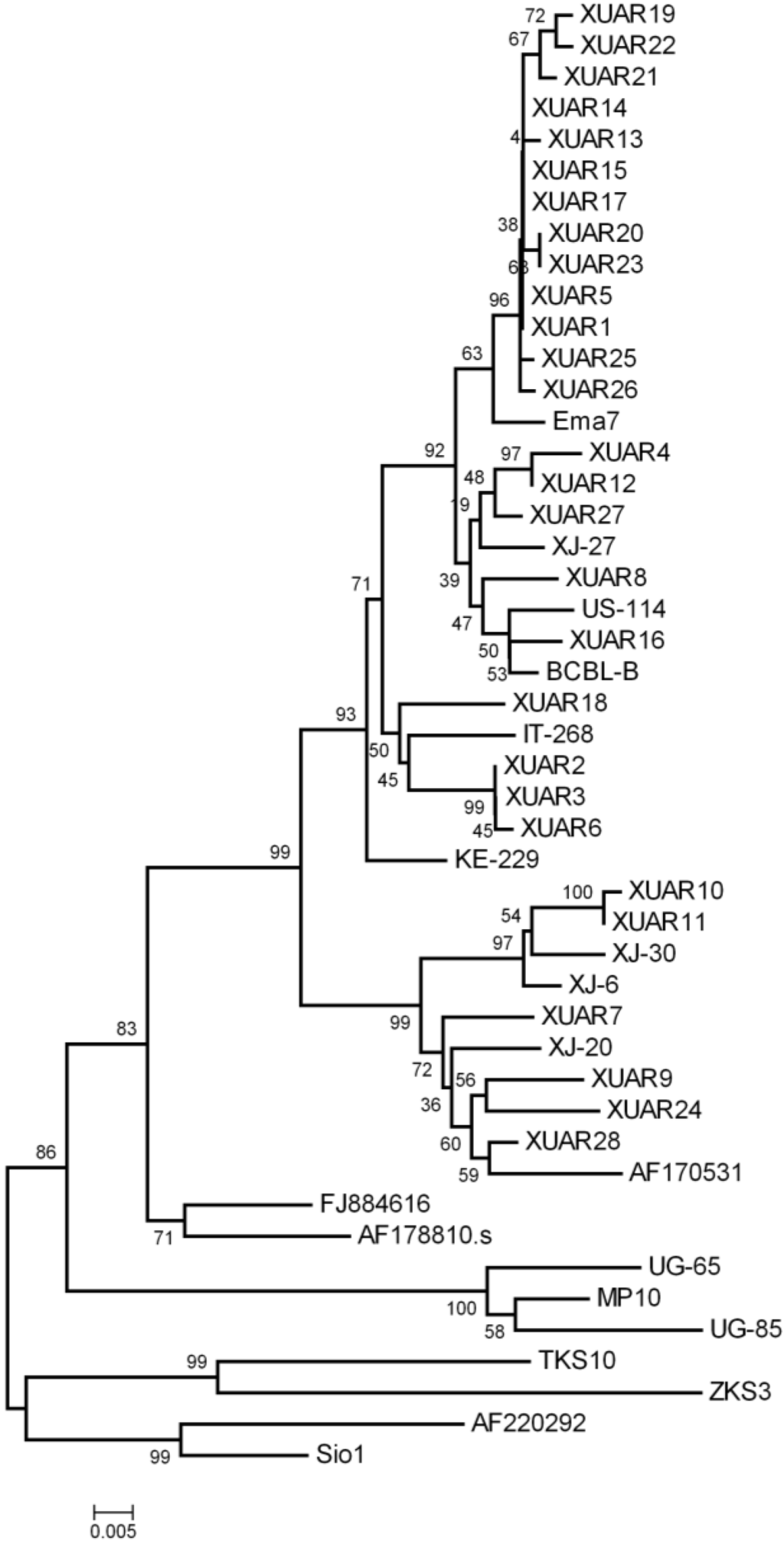Viruses 06 04800 g001 1024