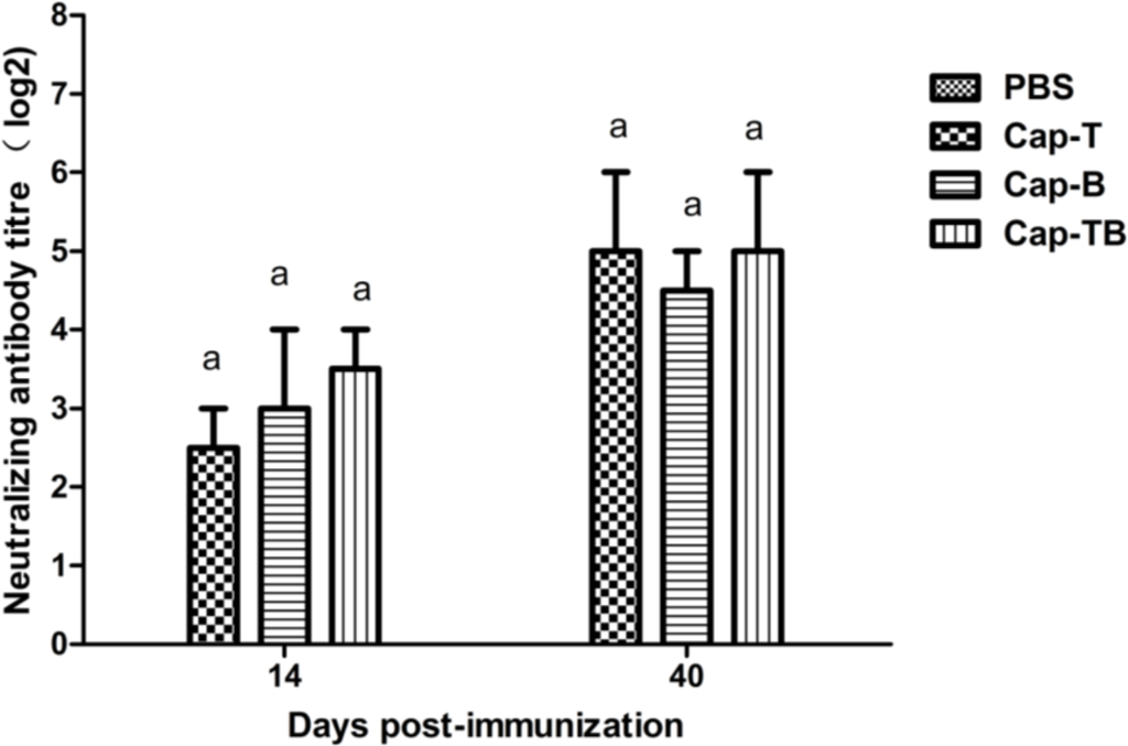 Viruses 06 04839 g006 1024