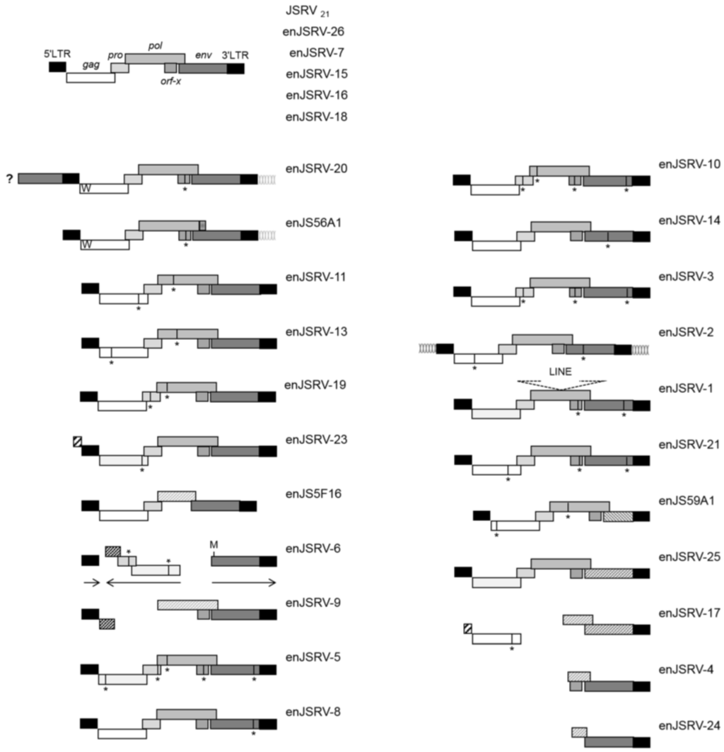 Viruses 06 04926 g002 1024