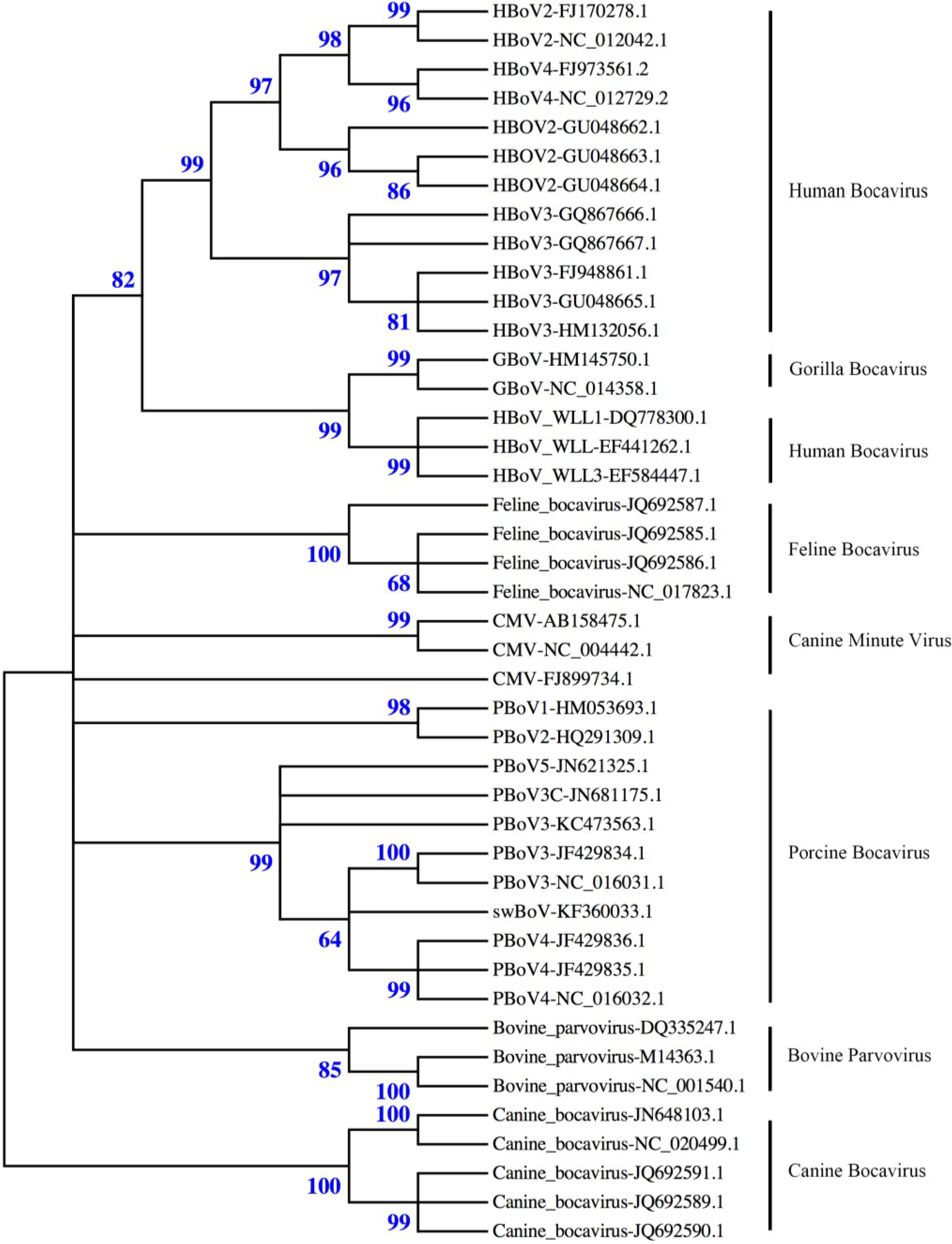 Viruses 06 04946 g001
