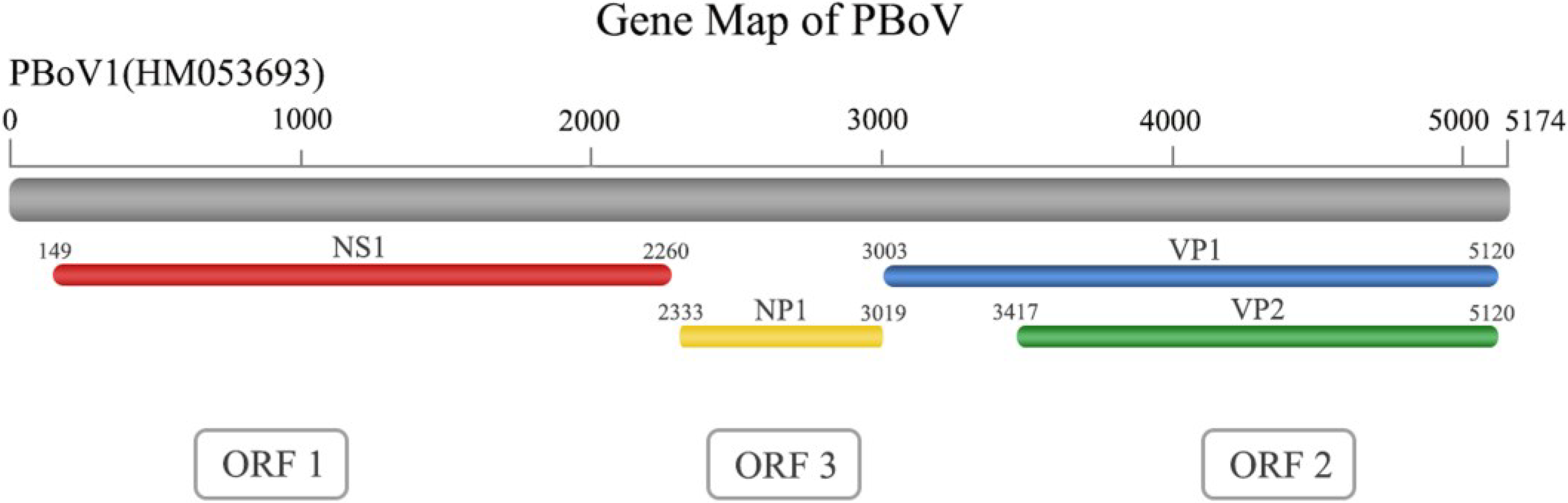 Viruses 06 04946 g002