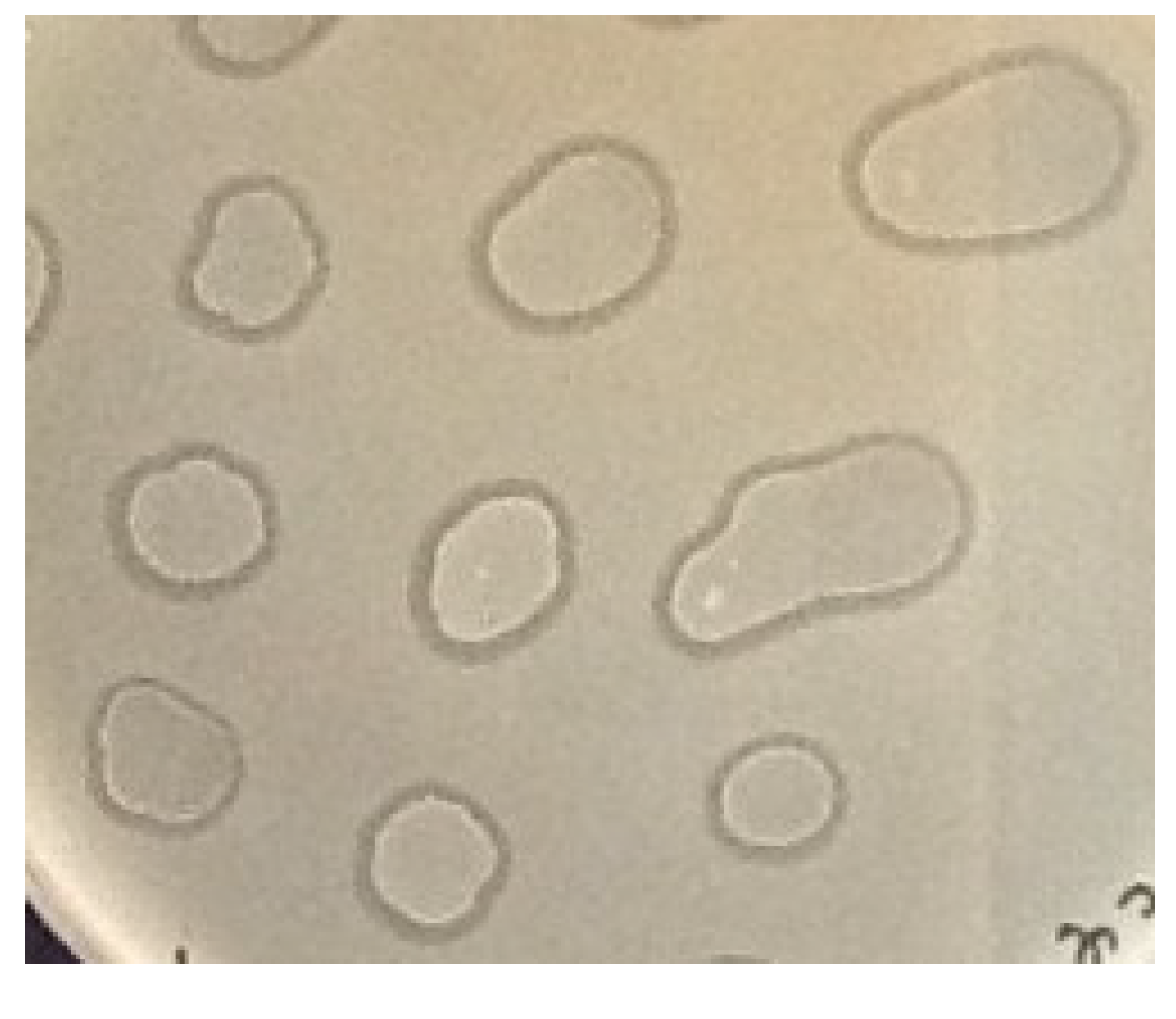 Viruses 06 05077 g004