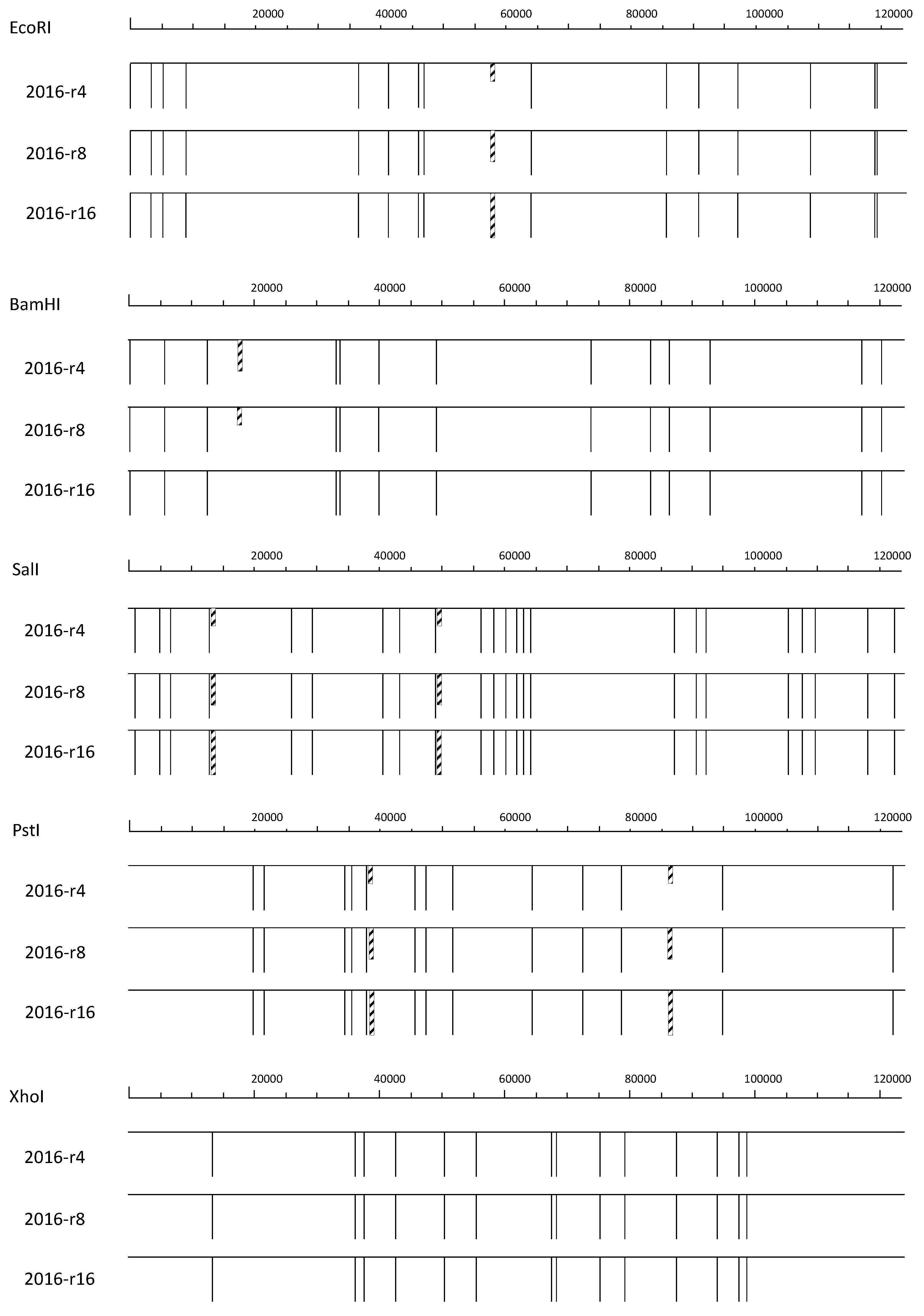 Viruses 06 05135 g001
