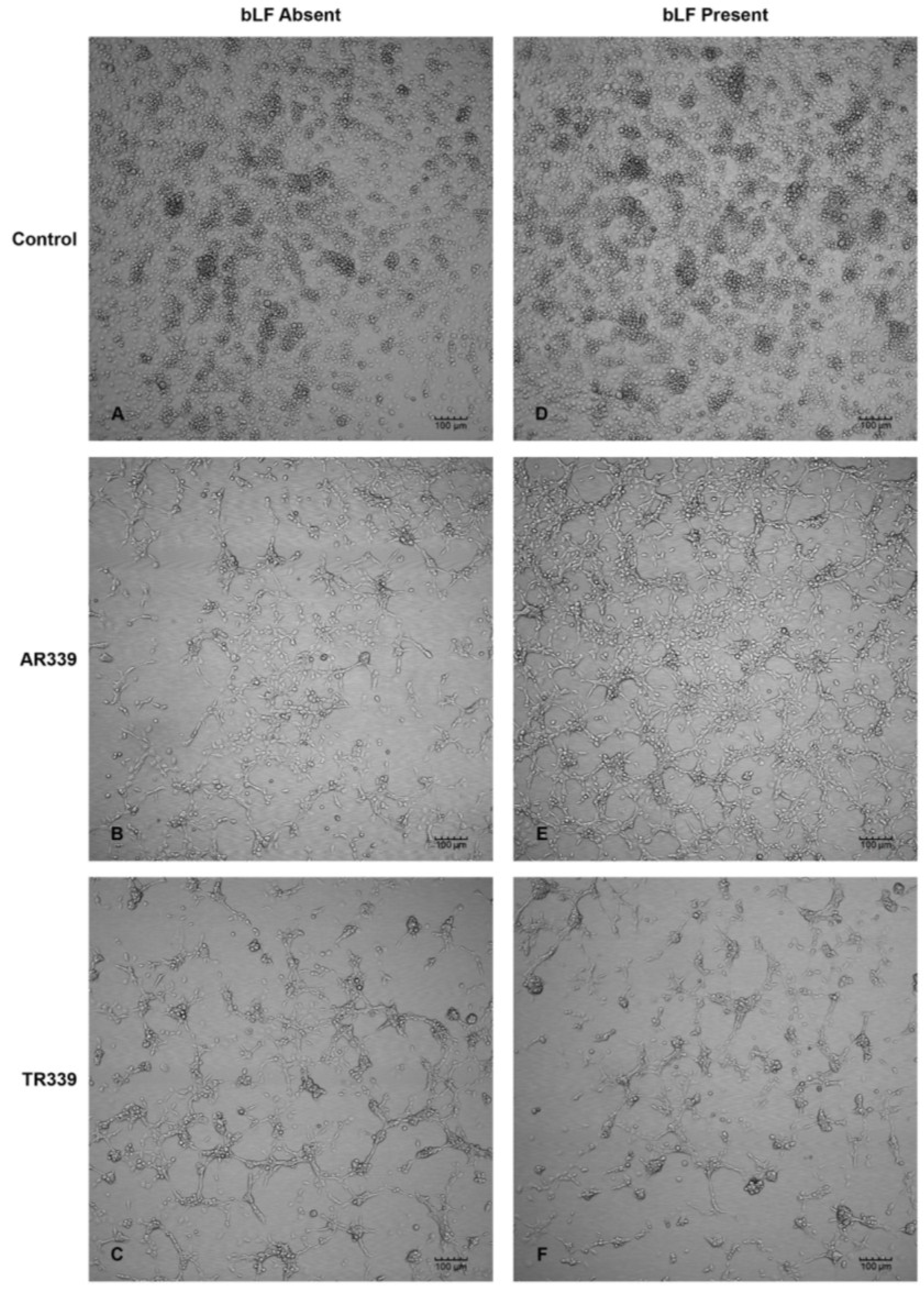Viruses 06 05182 g004