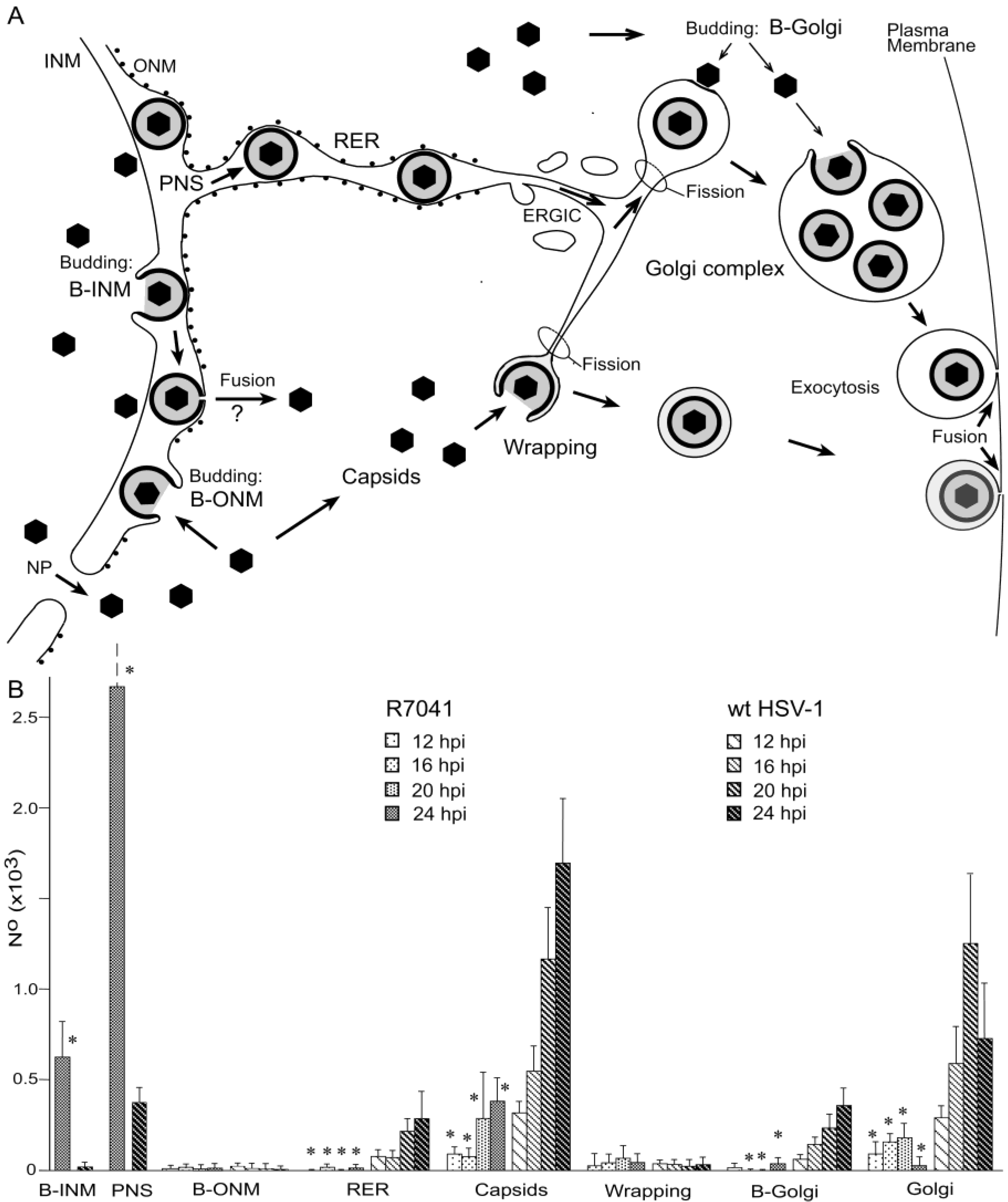 Viruses 07 00052 g006