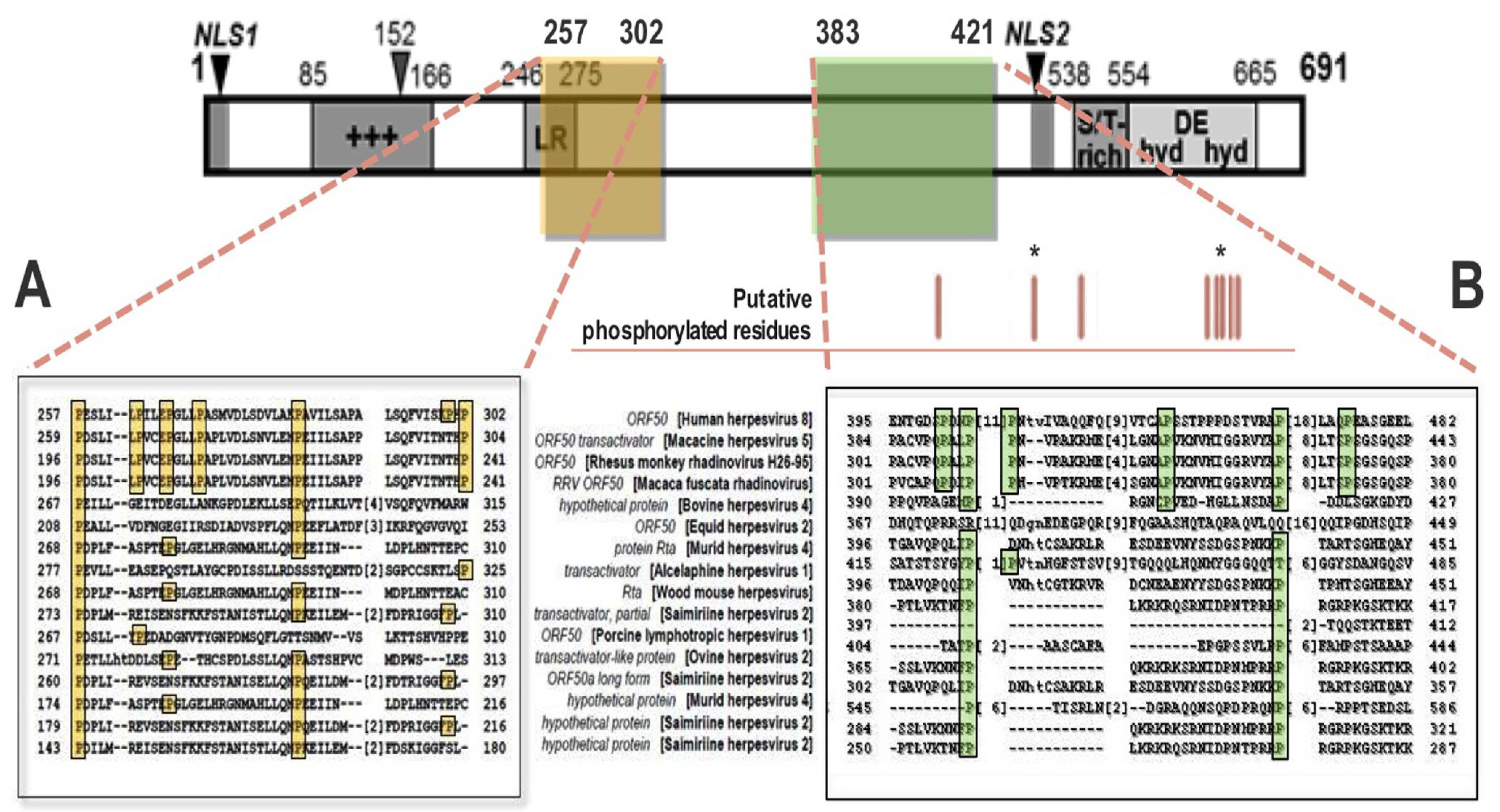 Viruses 07 00072 g004 1024