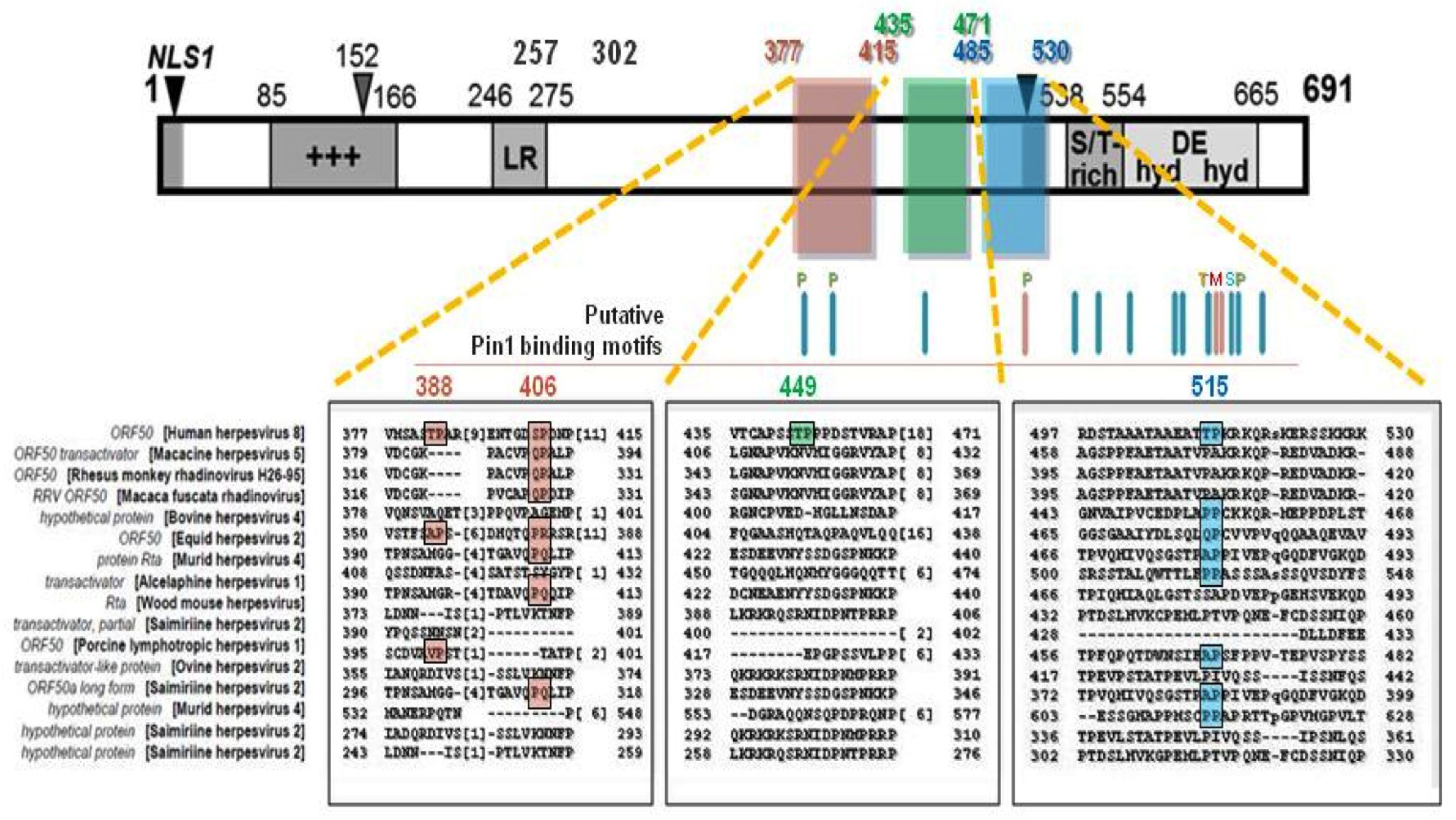 Viruses 07 00072 g005 1024