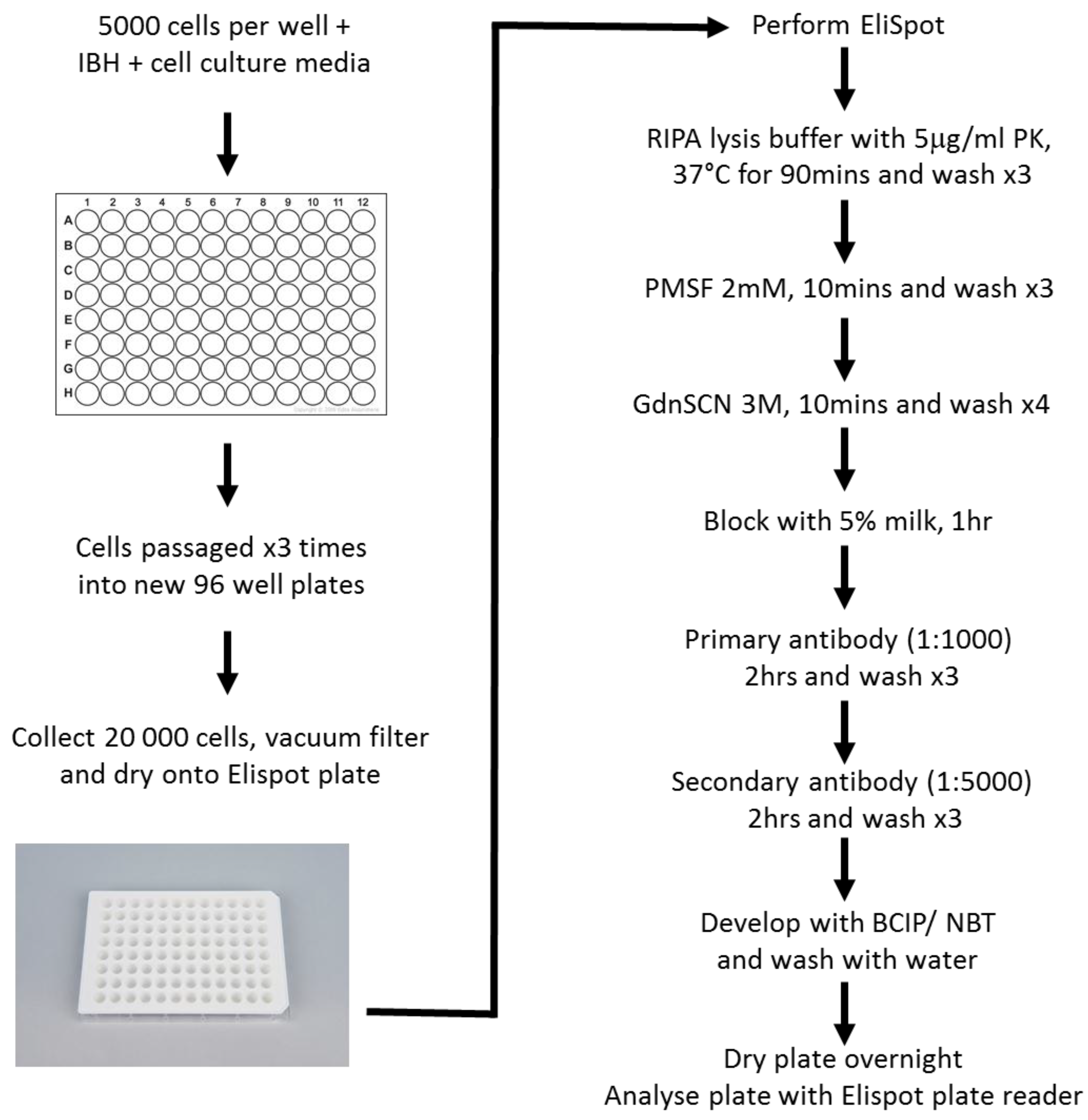 Viruses 07 00180 g004