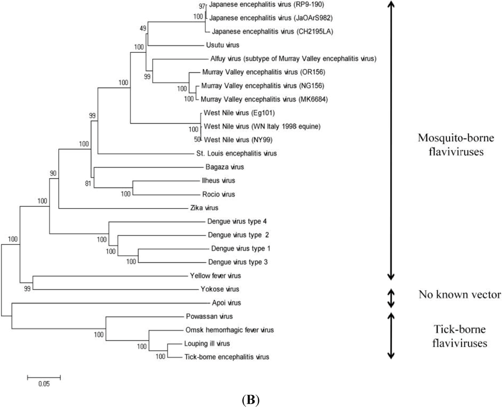 Viruses 07 00219 g003b 1024