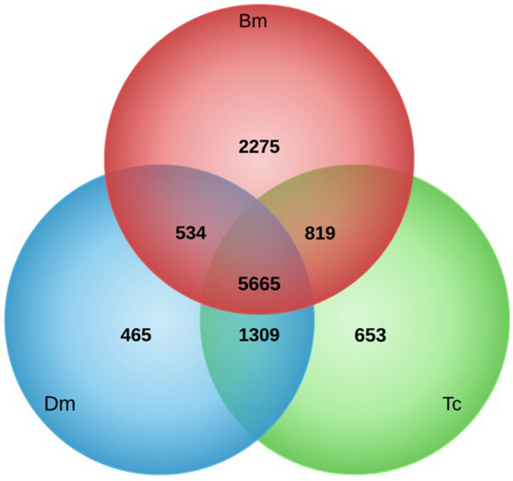 Viruses 07 00456 g004 1024