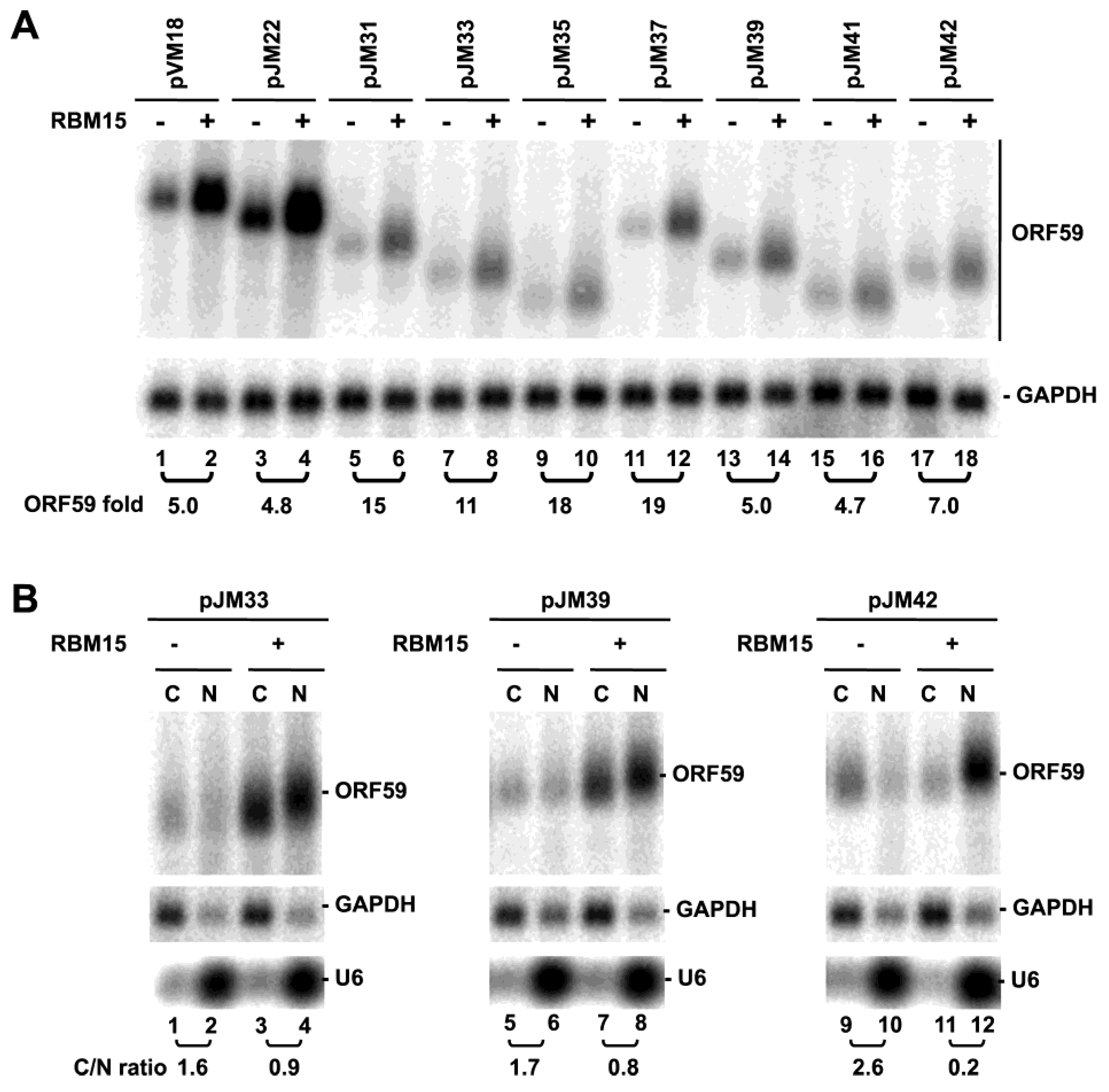 Viruses 07 00496 g005