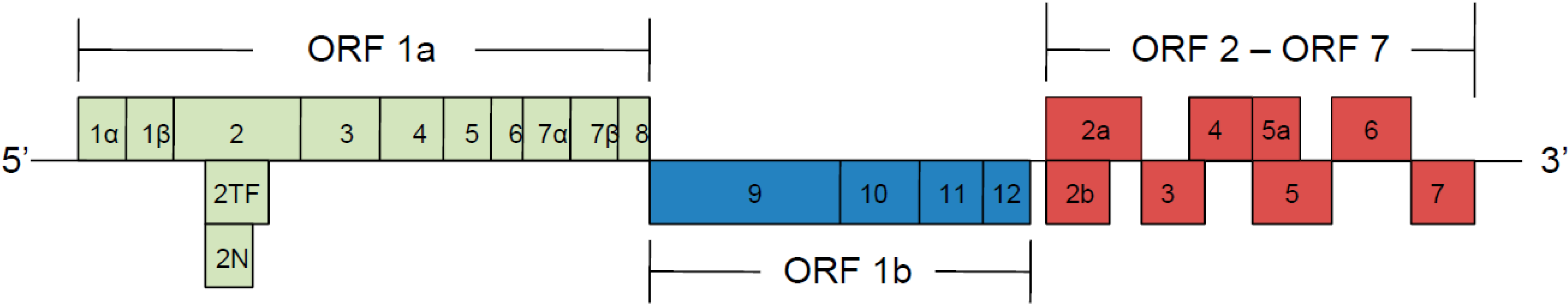 Viruses 07 00873 g001 1024