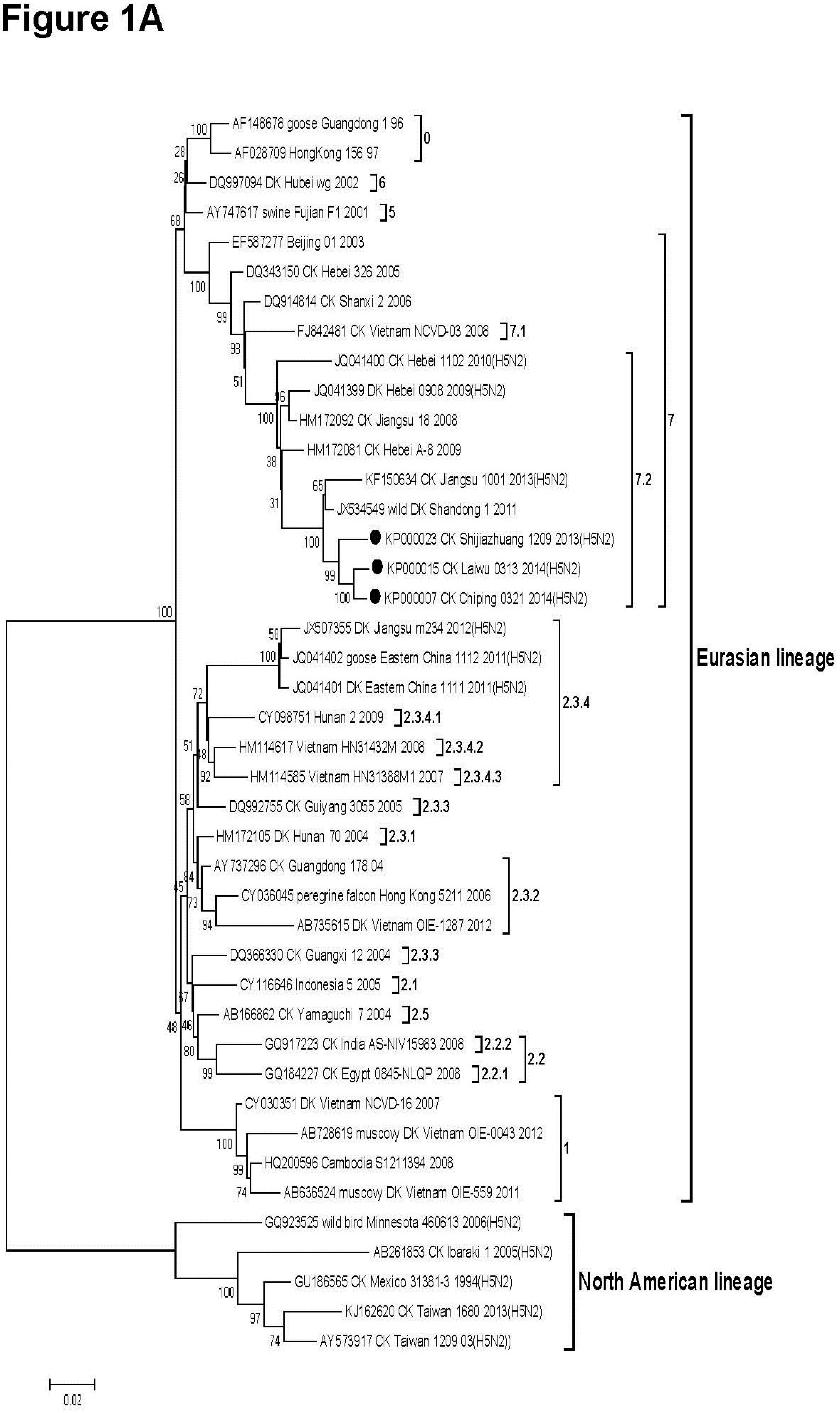 Viruses 07 00887 g001a
