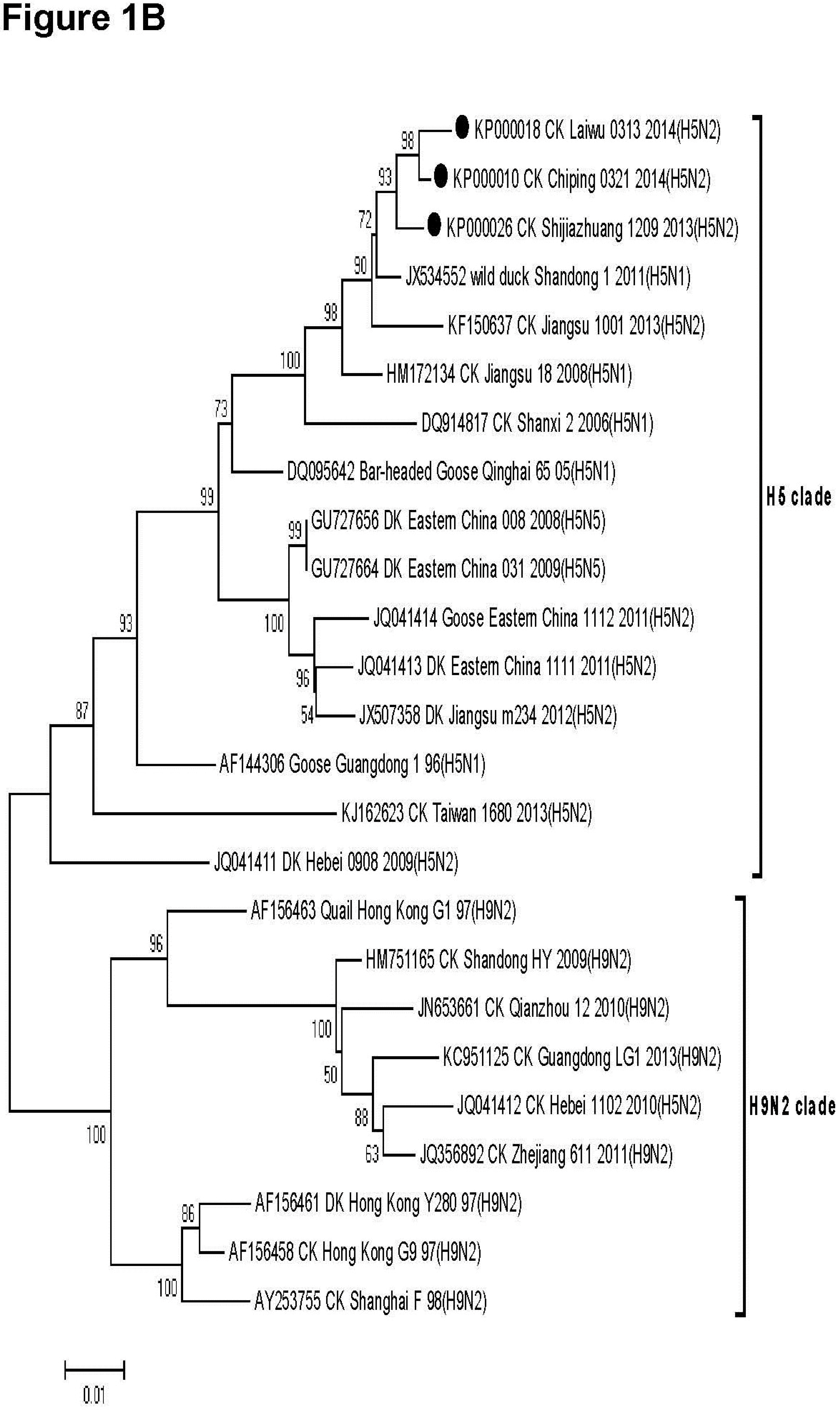 Viruses 07 00887 g001b