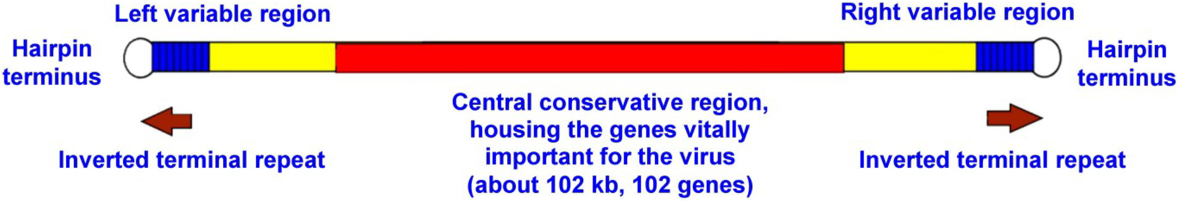 Viruses 07 01100 g001