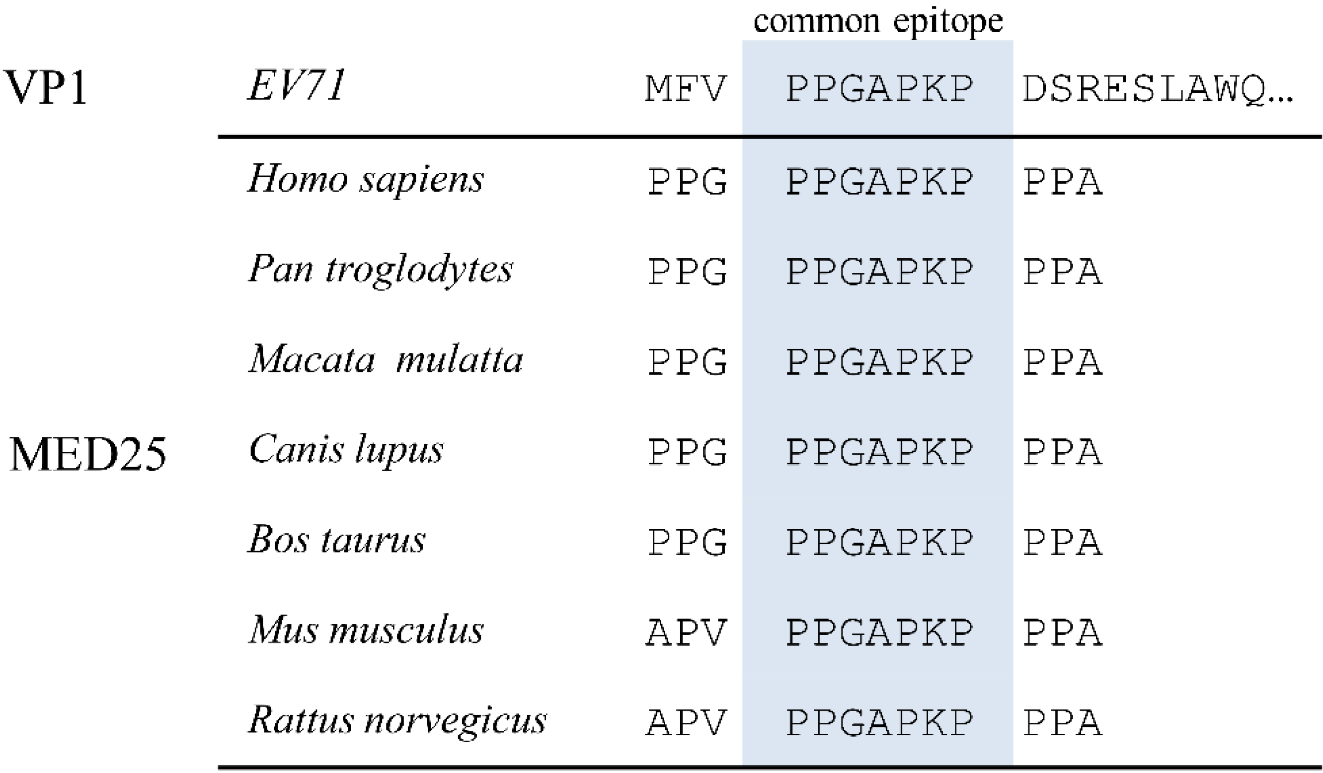 Viruses 07 01558 g001