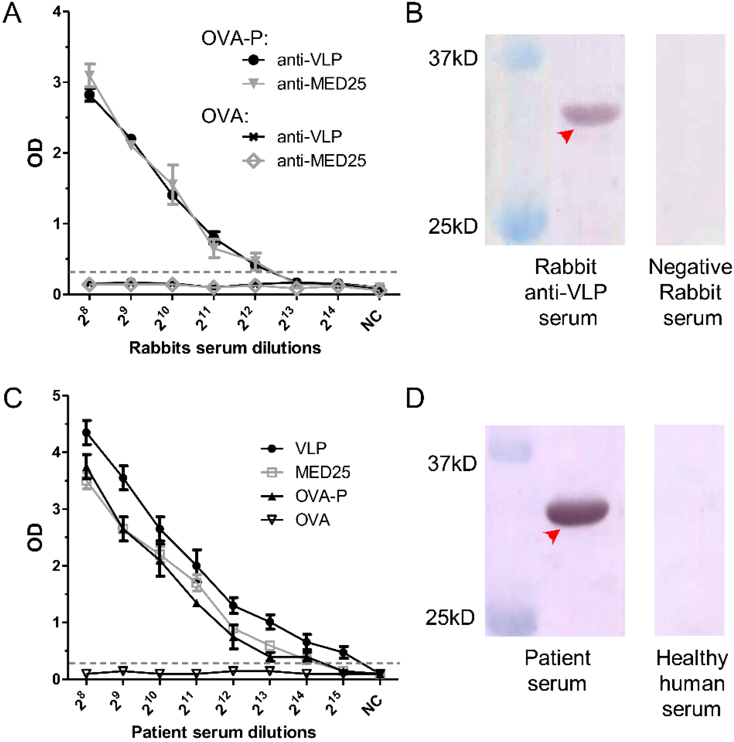Viruses 07 01558 g005