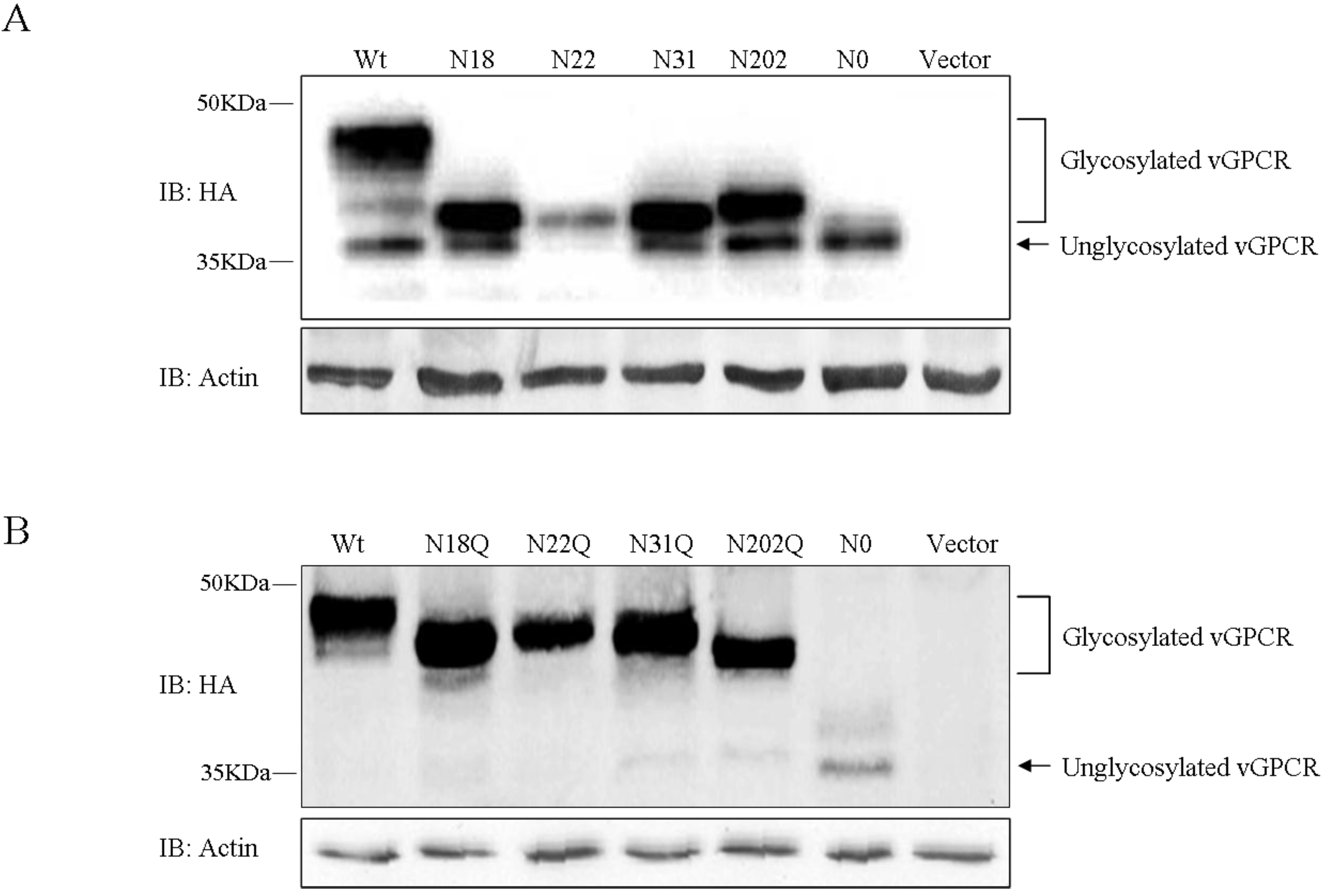 Viruses 07 01627 g002