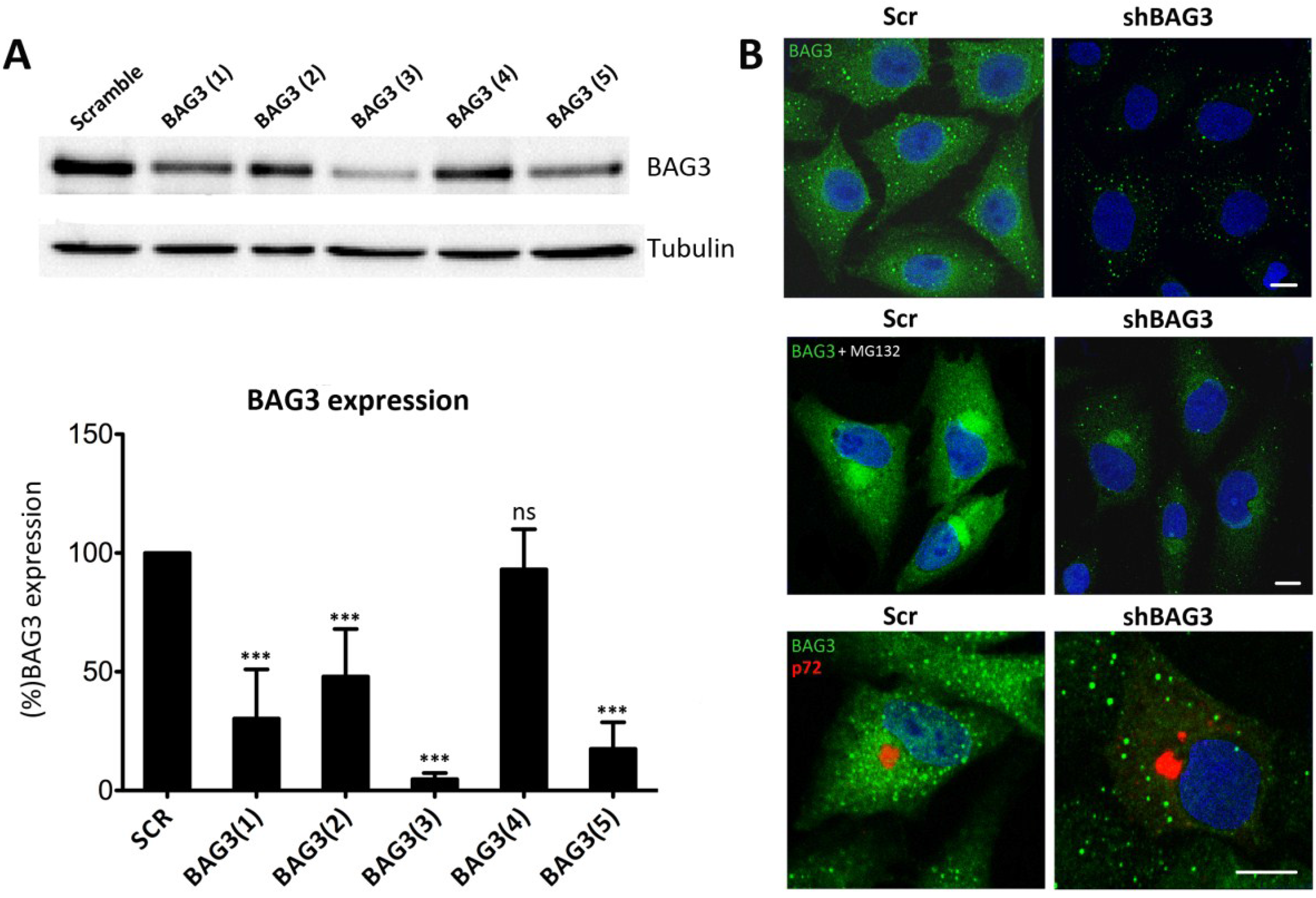 Viruses 07 01823 g002 1024