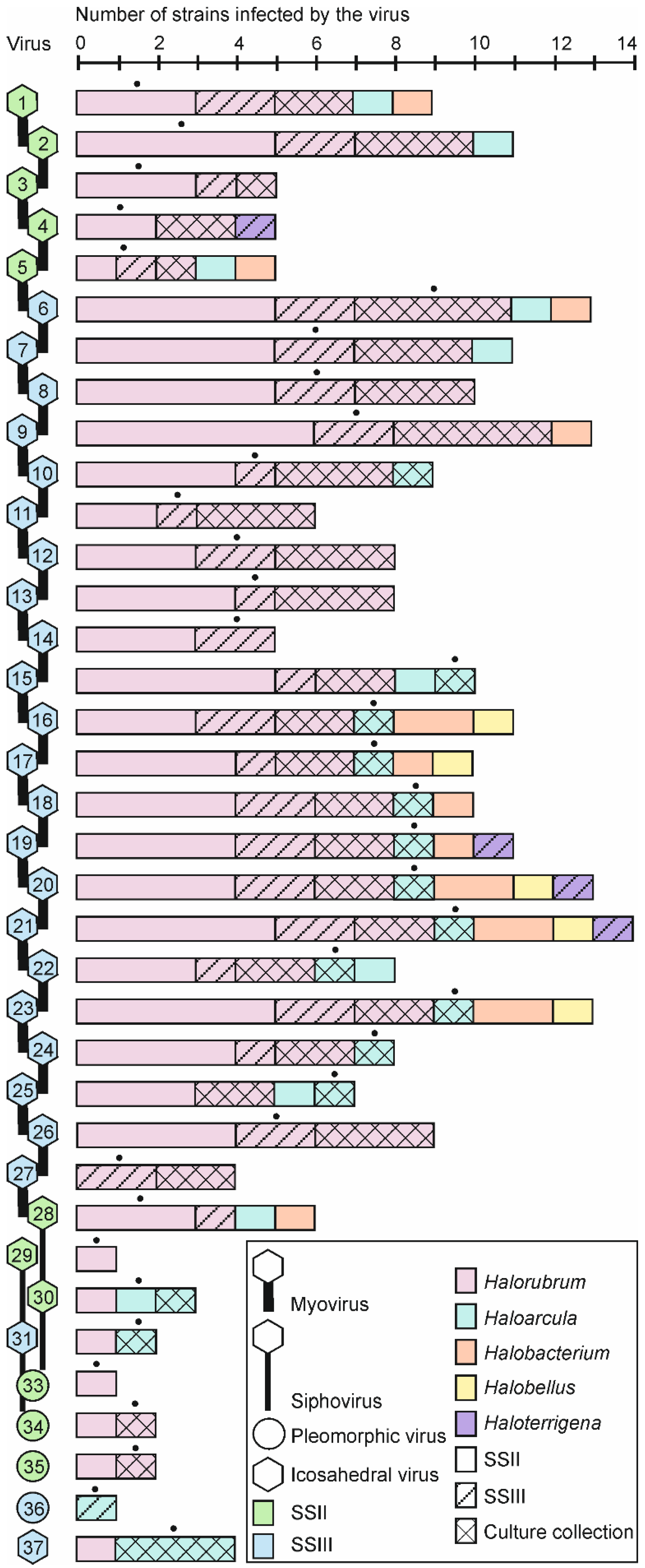Viruses 07 01902 g003 1024