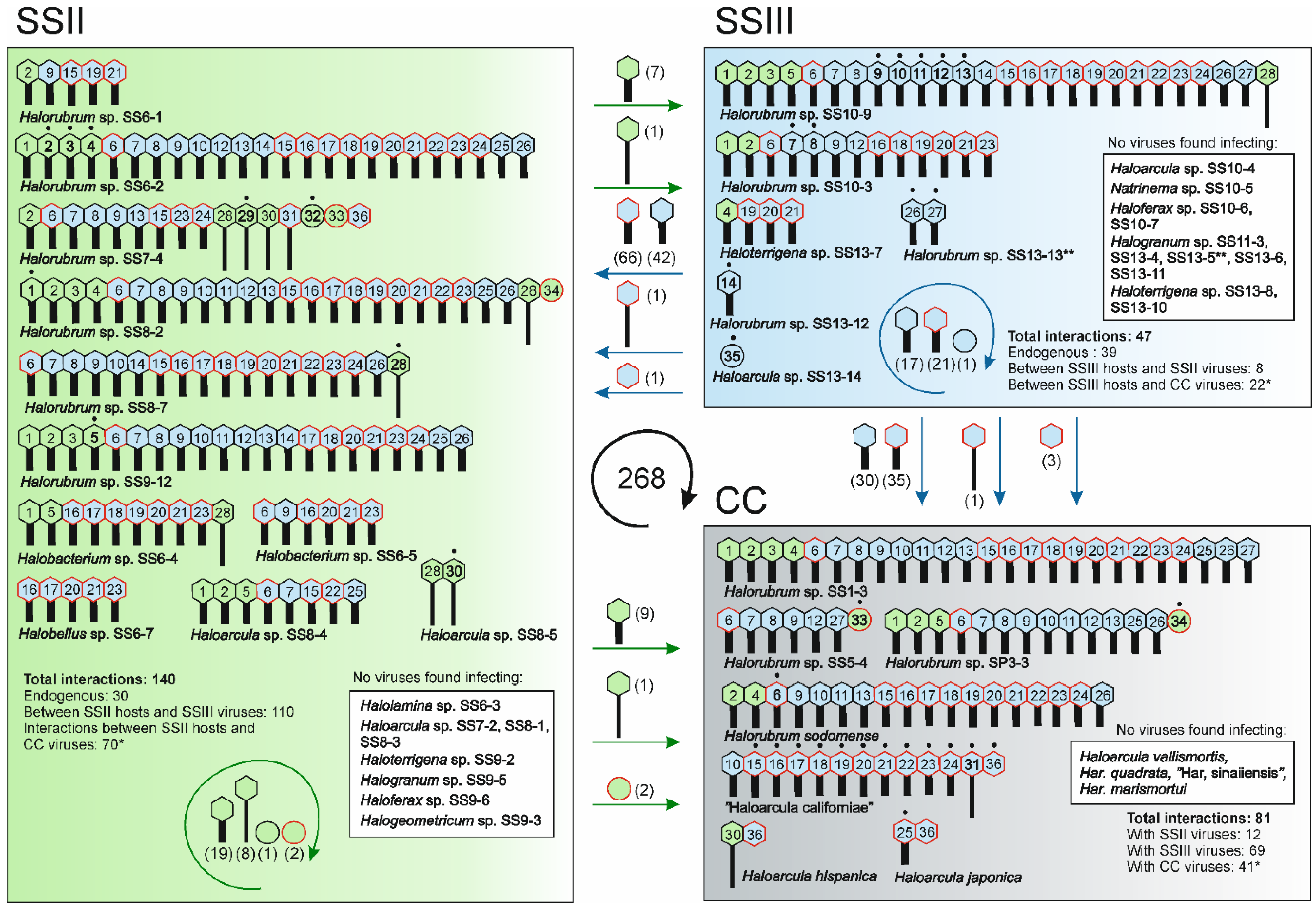 Viruses 07 01902 g004 1024
