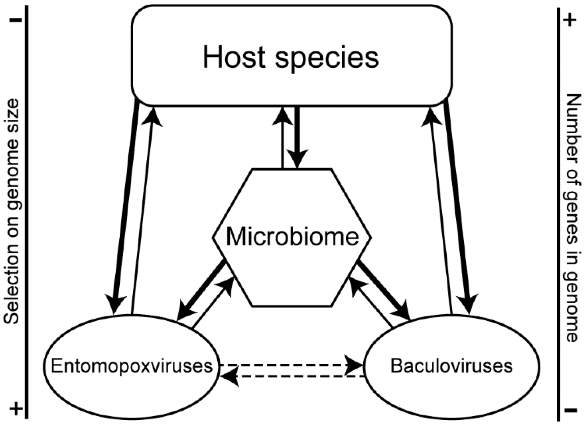 Viruses 07 01960 g003 1024