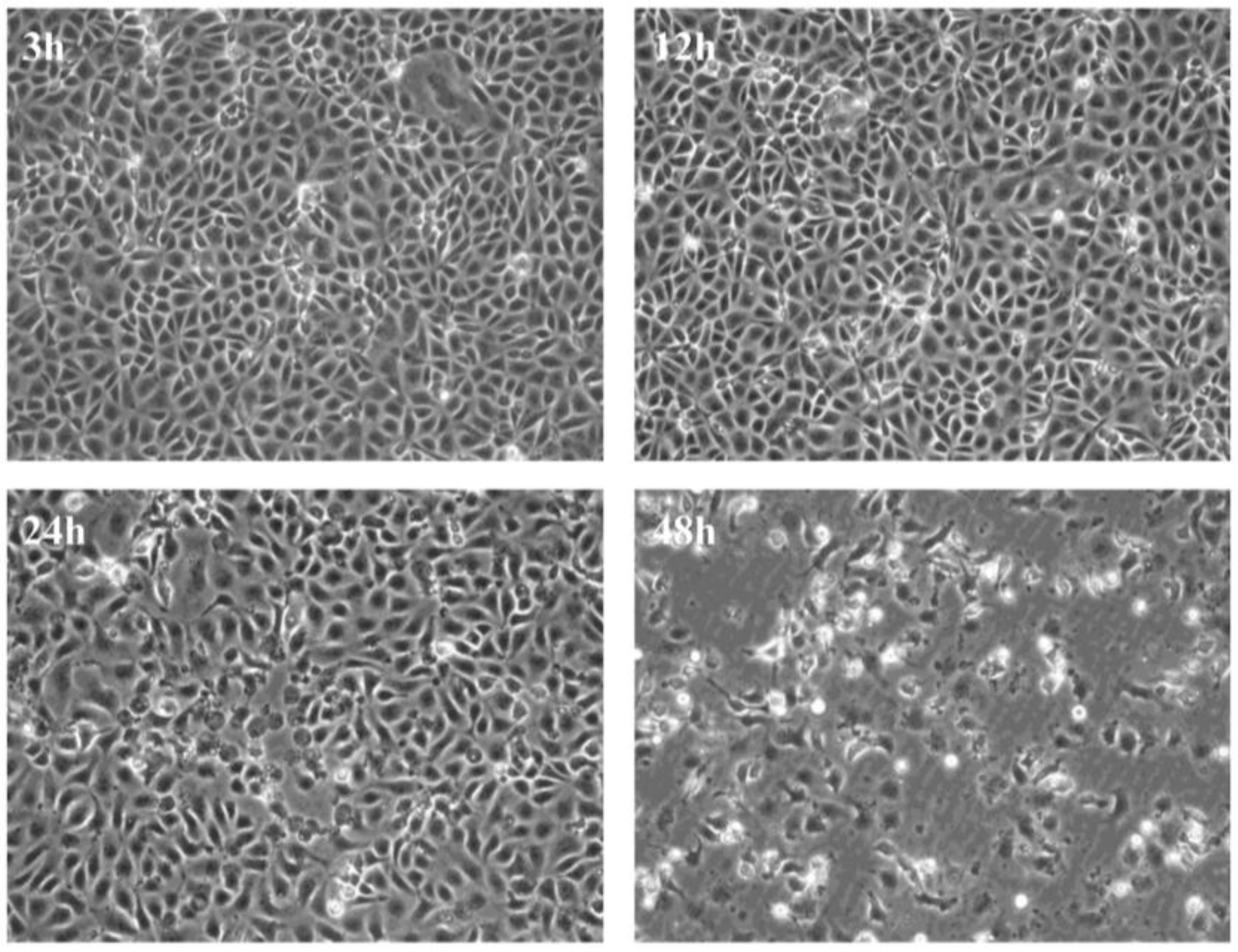 Viruses 07 01987 g001