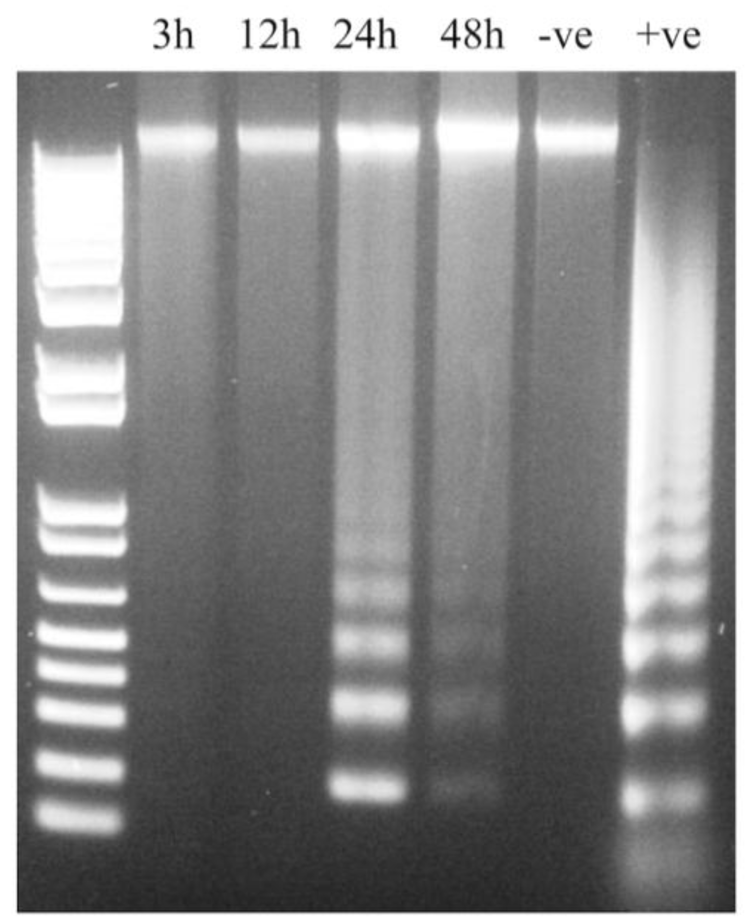 Viruses 07 01987 g006