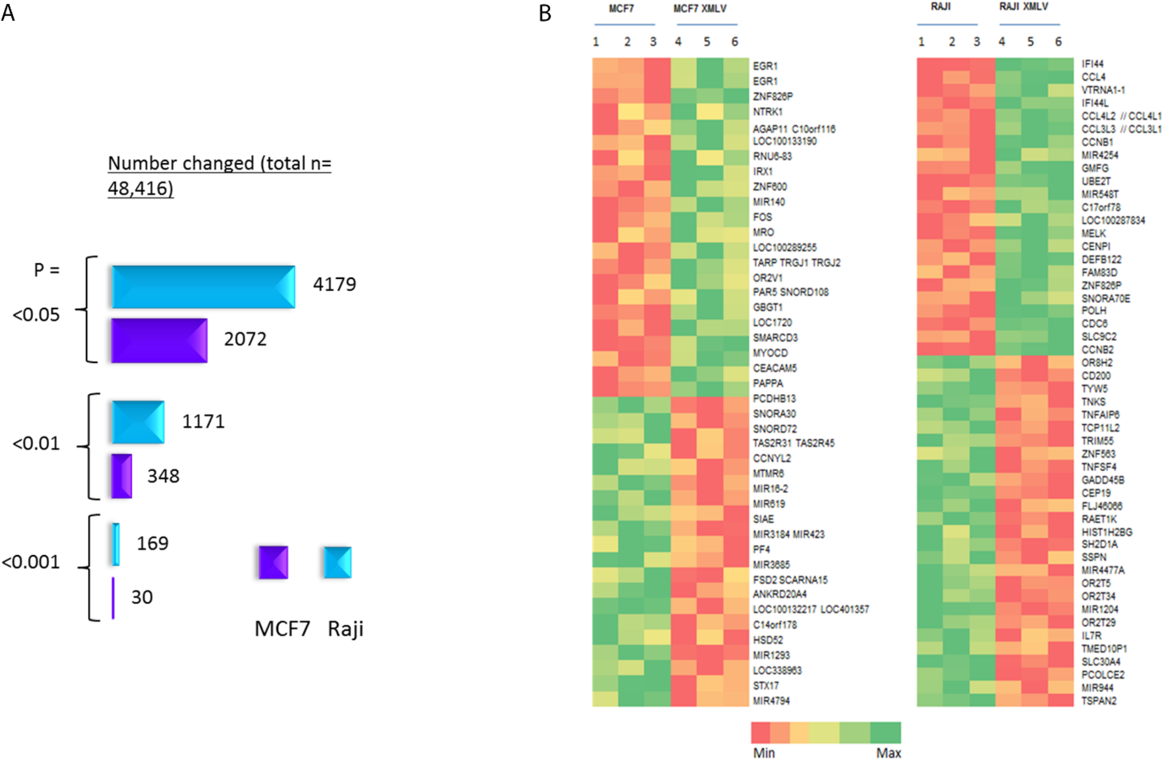 Viruses 07 02014 g004 1024