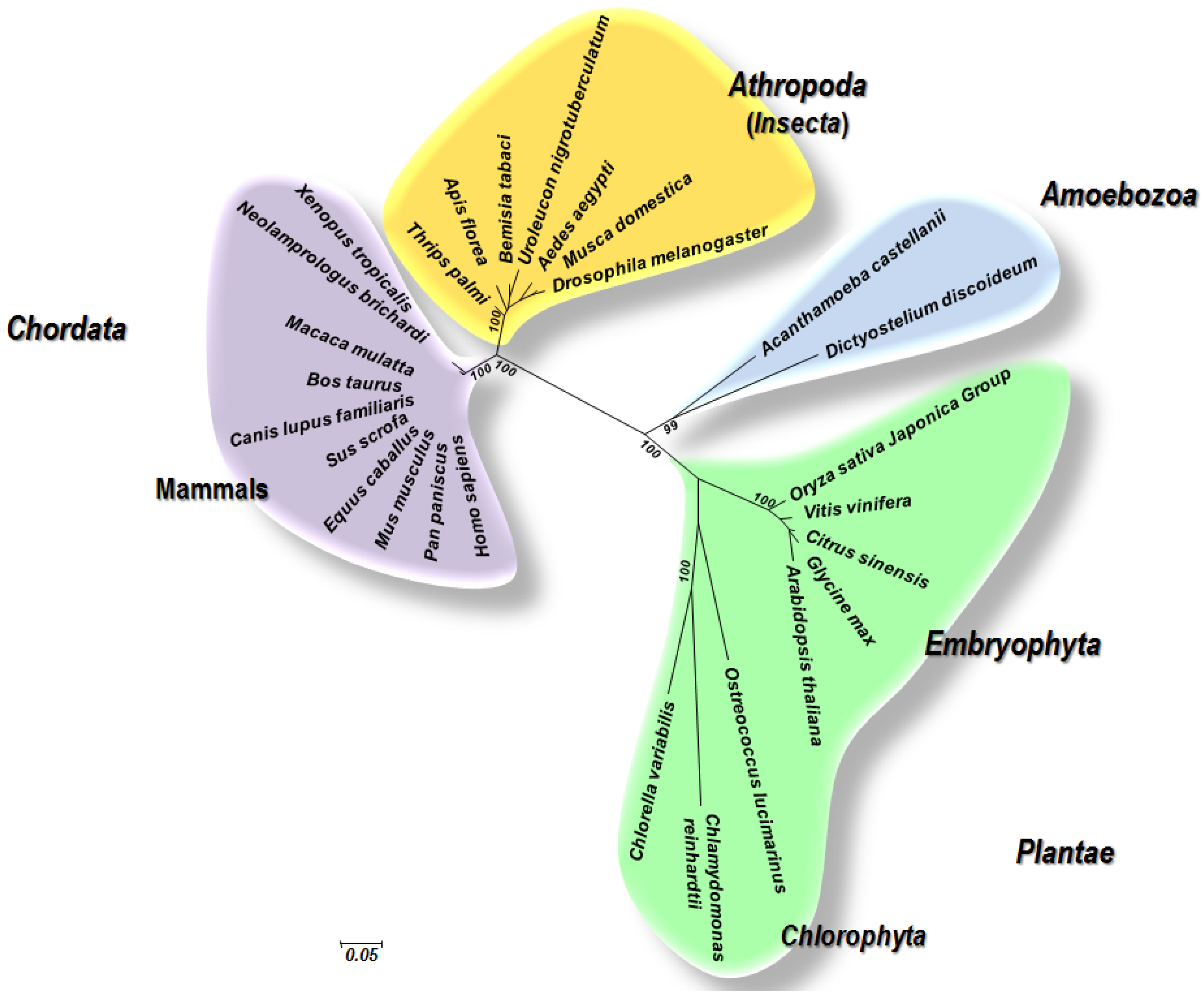 Viruses 07 02074 g002