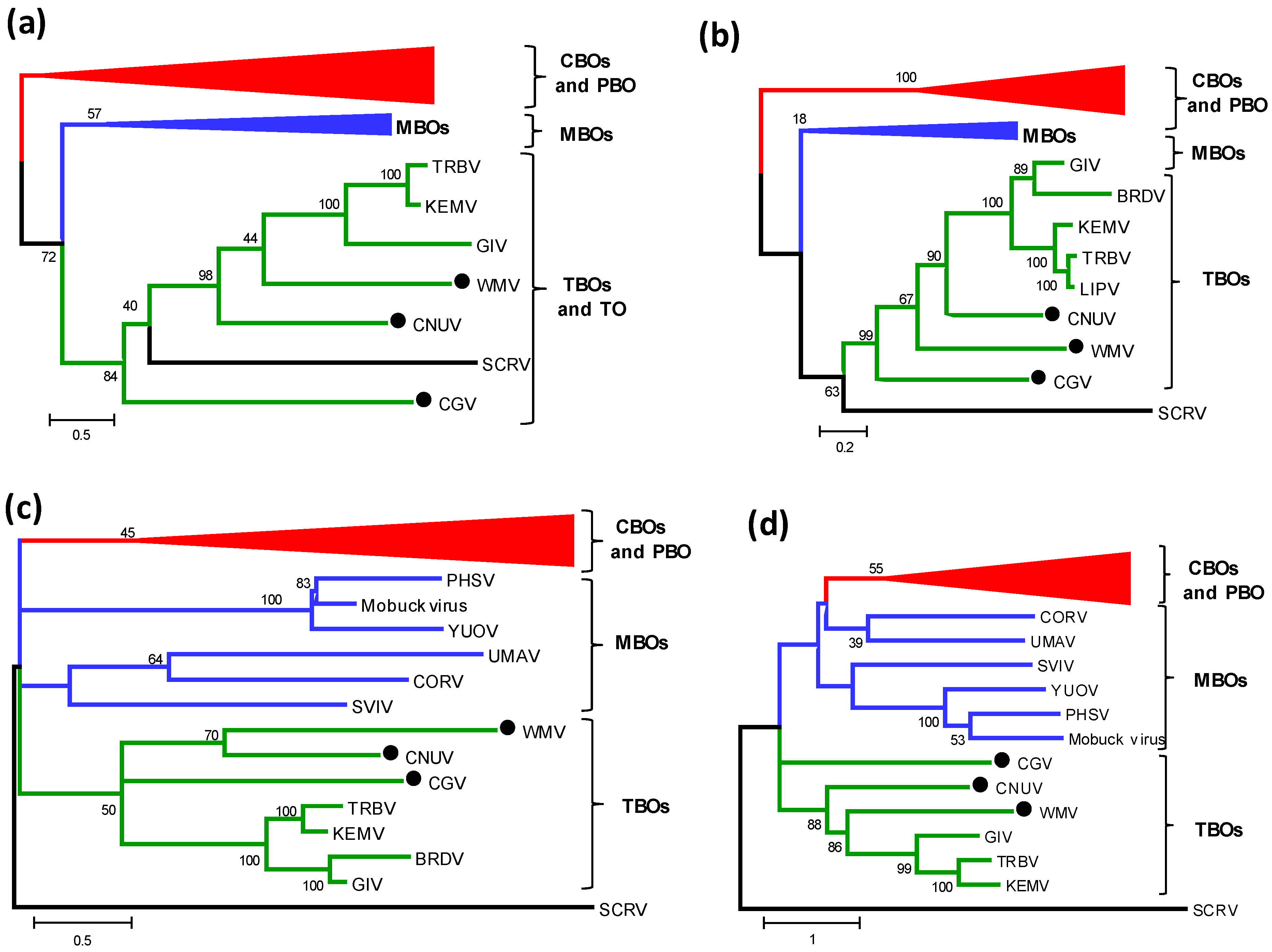 Viruses 07 02185 g003 1024