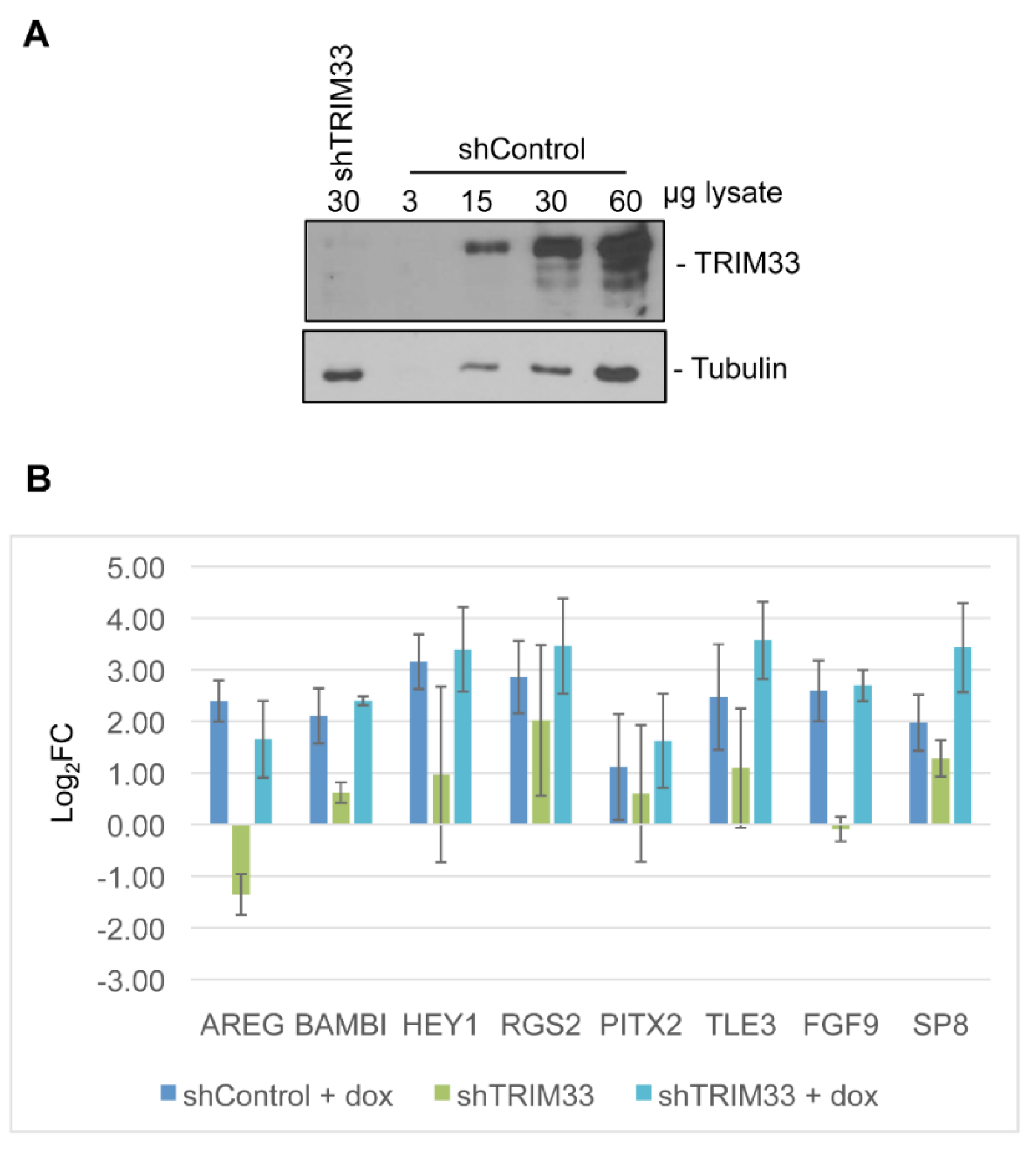 Viruses 07 02428 g006