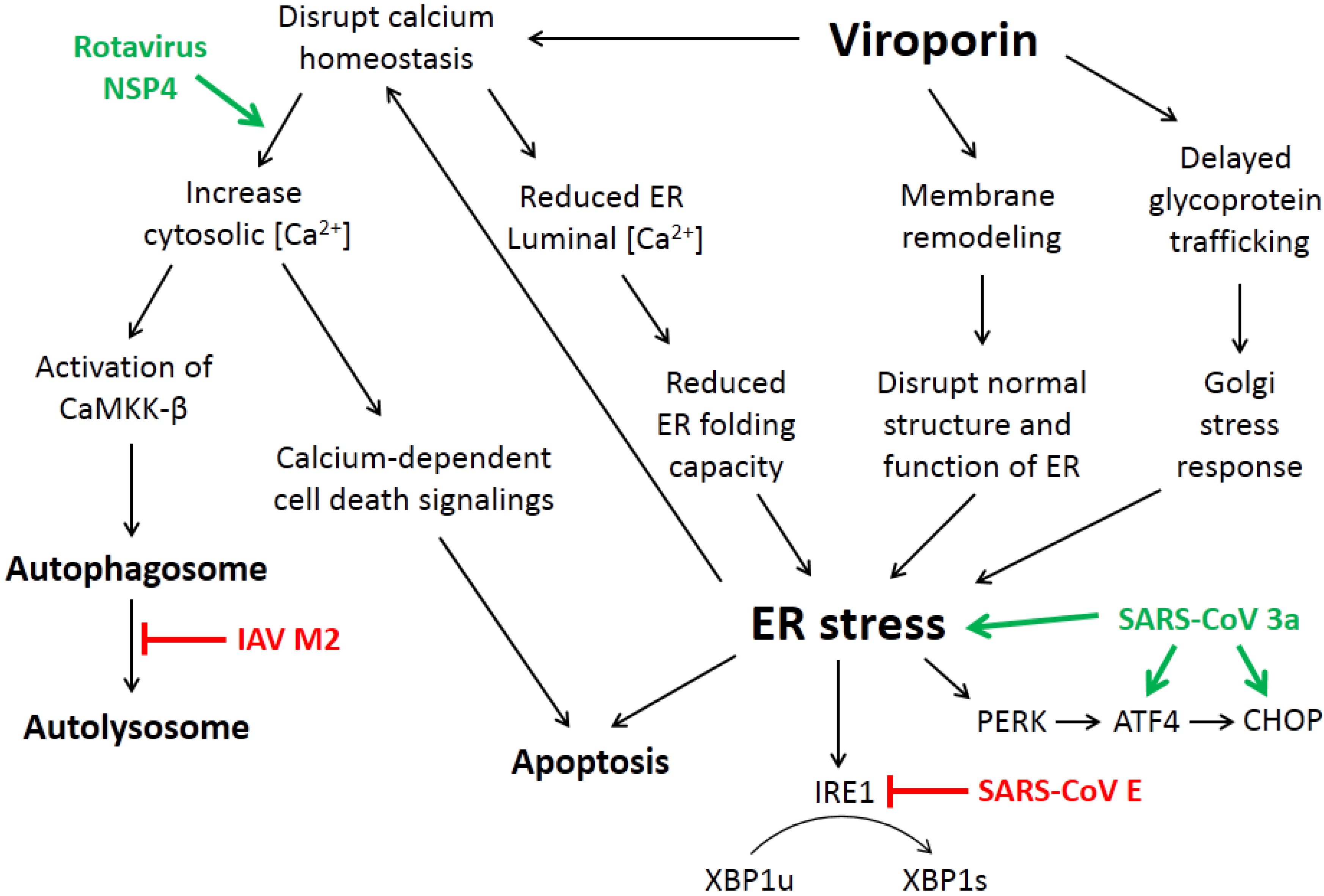 Viruses 07 02749 g003 1024