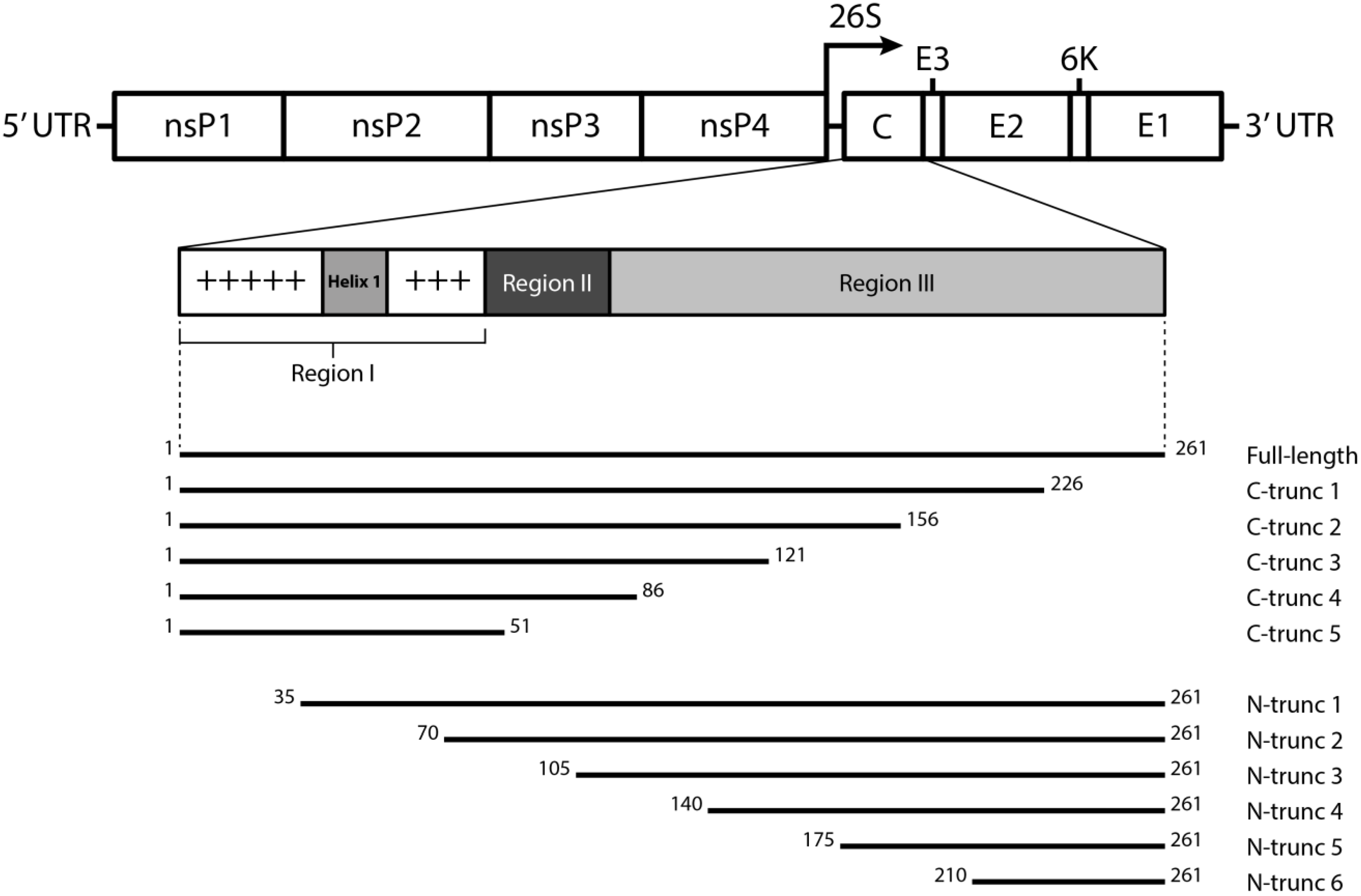 Viruses 07 02754 g001