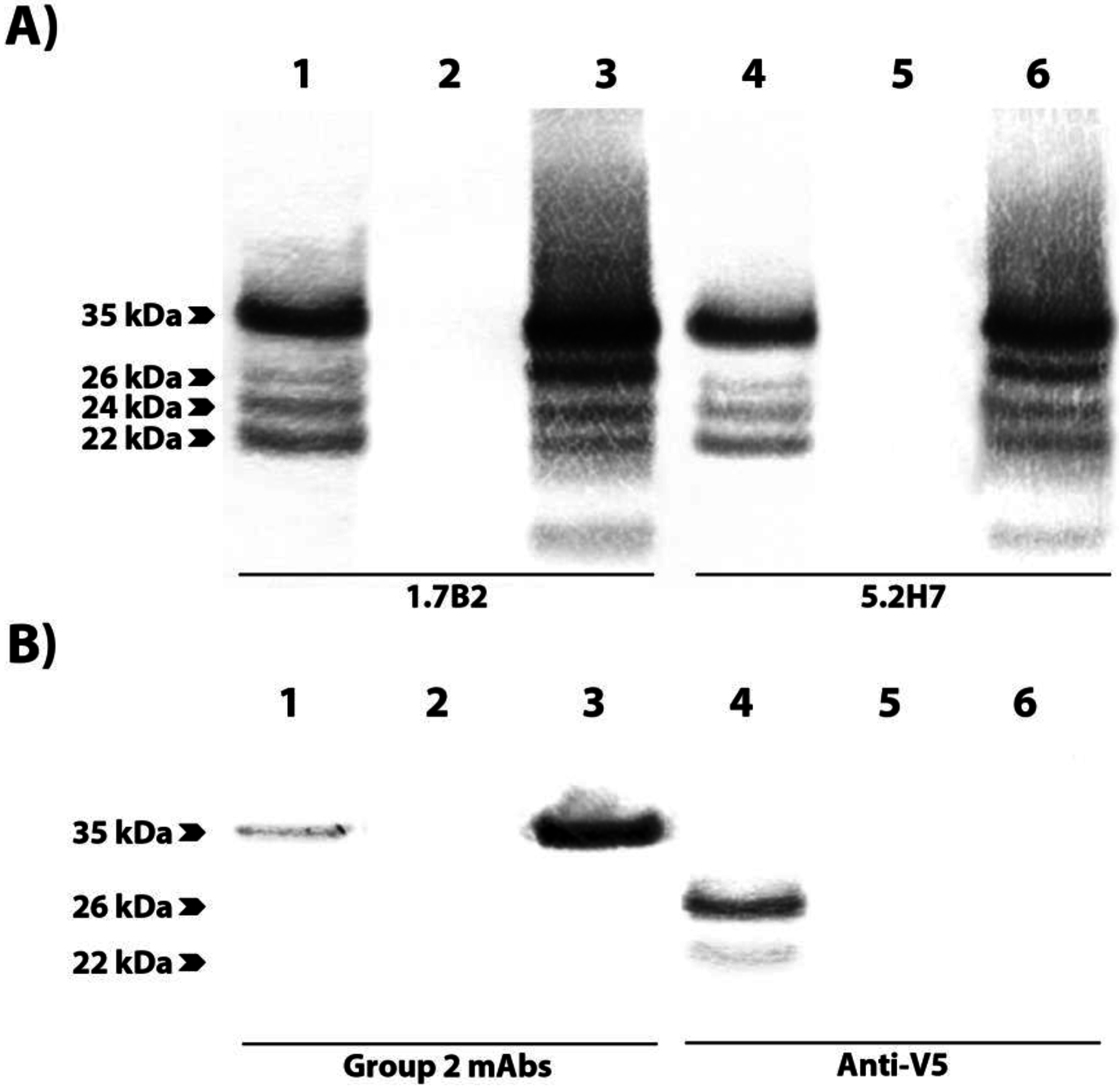 Viruses 07 02754 g006