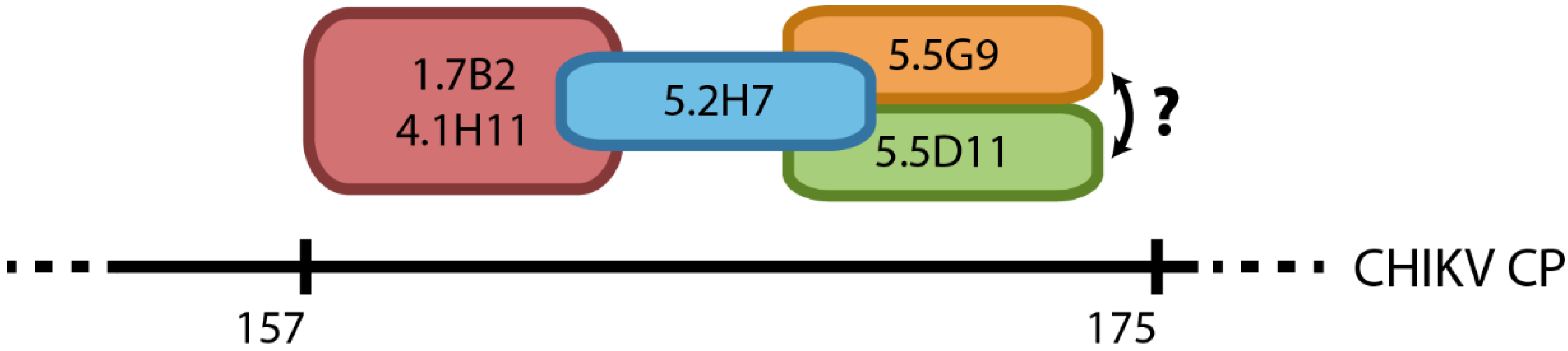 Viruses 07 02754 g009