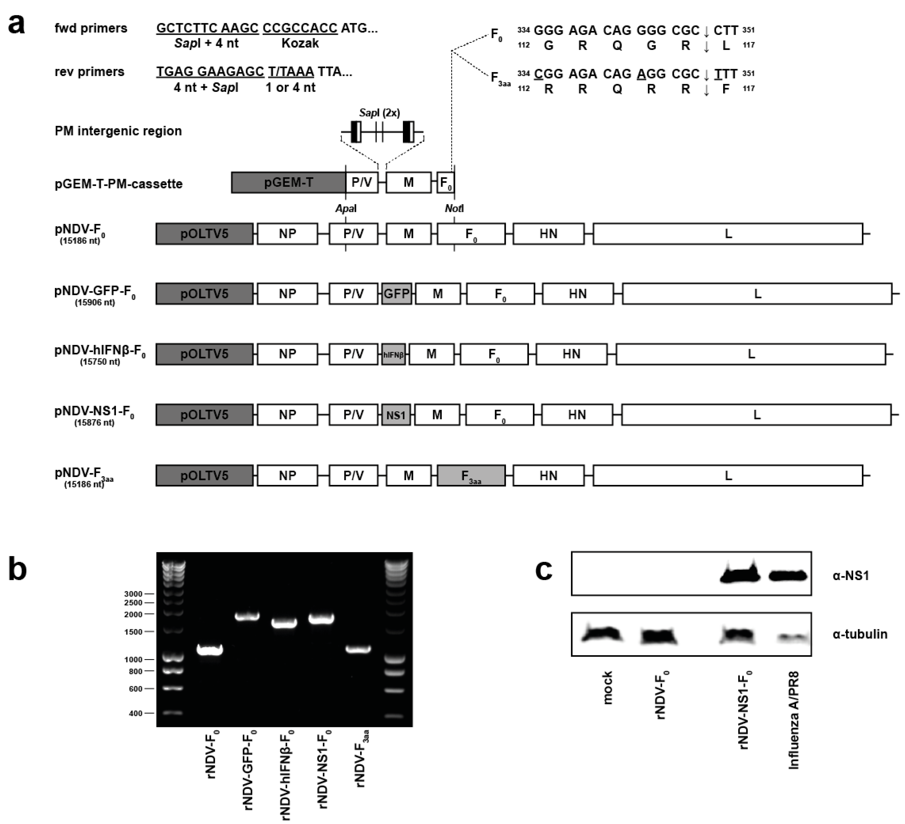 Viruses 07 02756 g001 1024