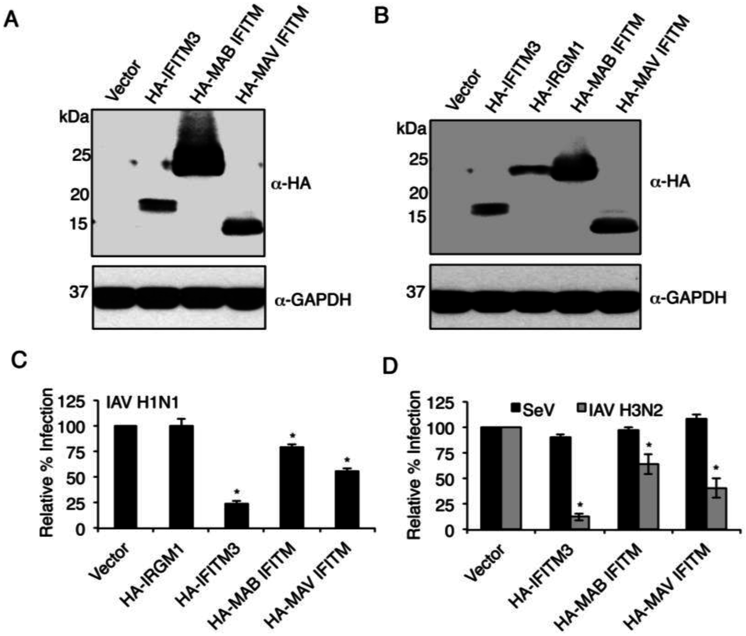 Viruses 07 02759 g003 1024