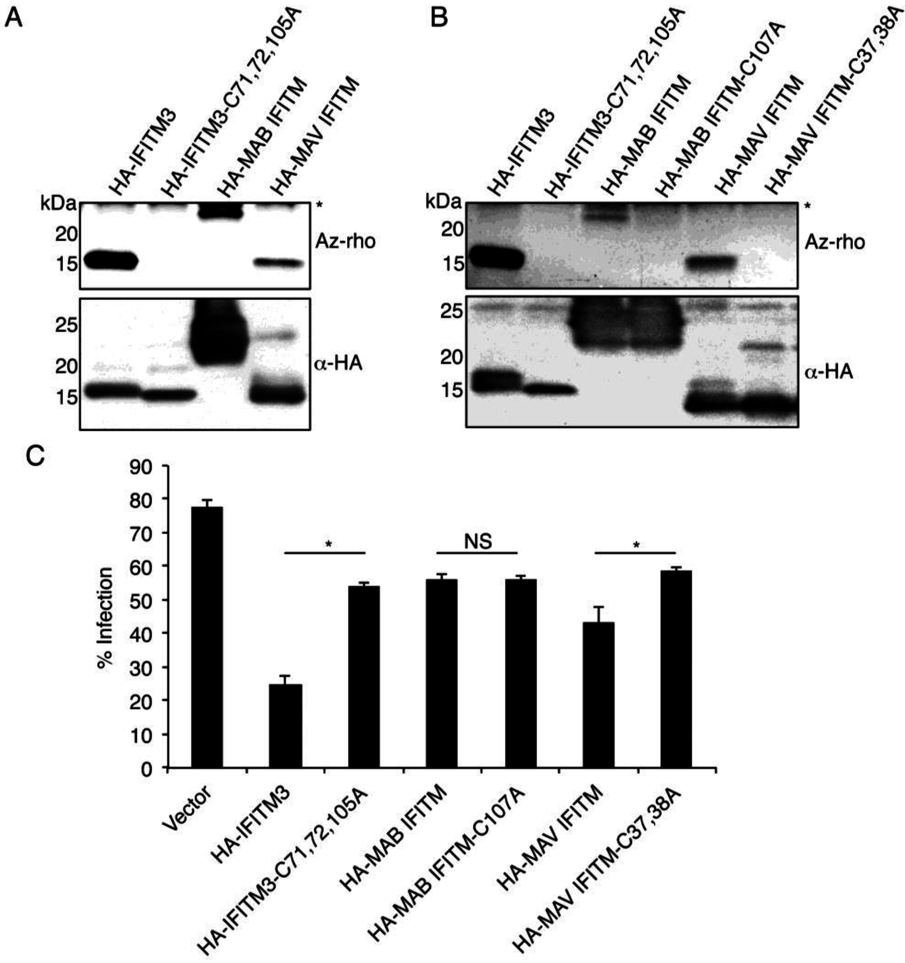 Viruses 07 02759 g004